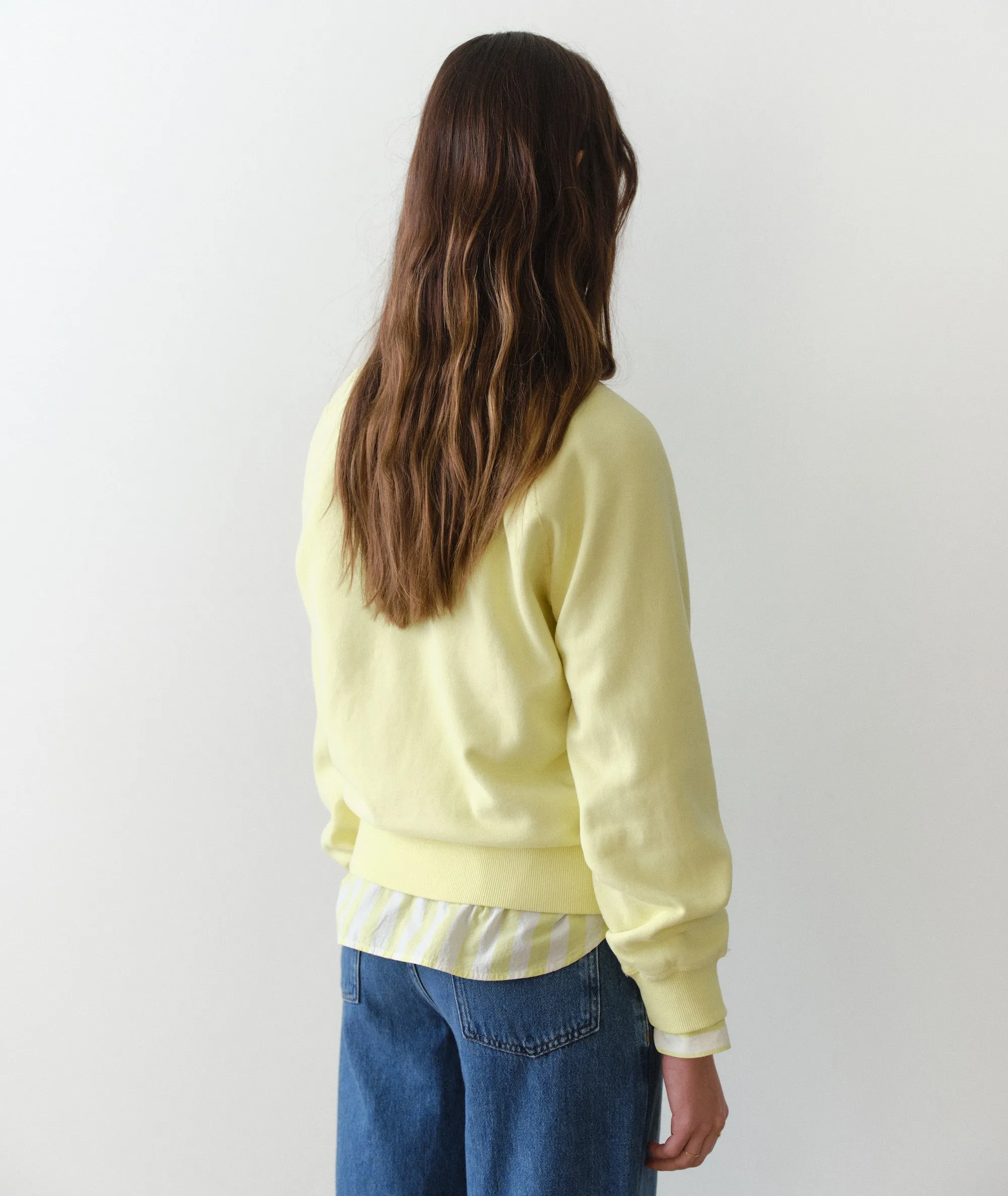 Cloud 9 Fleece Reversible Crewneck sold by Marine Layer product image thumbnail 5