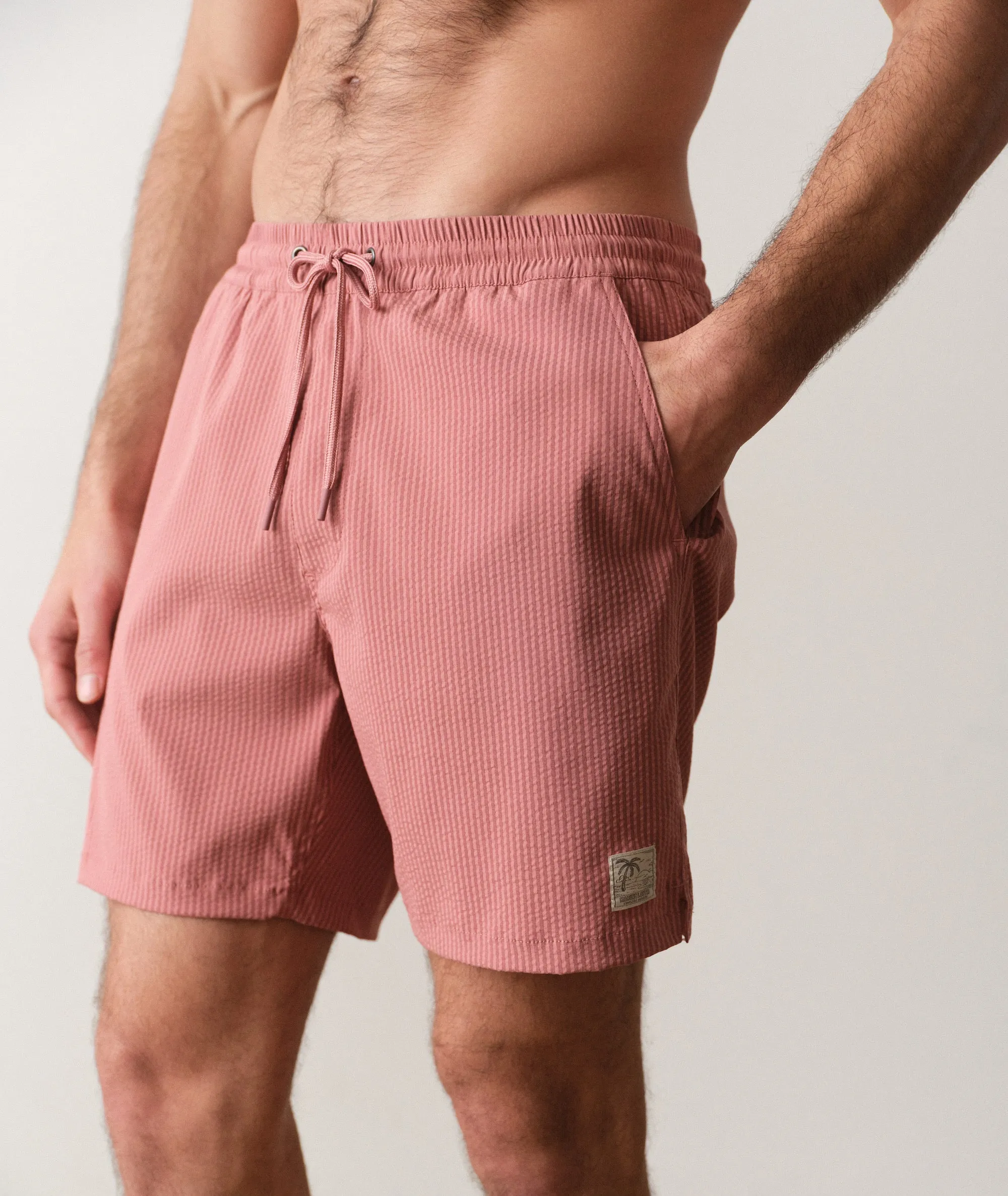 6" Lined Sport & Swim Short sold by Marine Layer product image thumbnail 3
