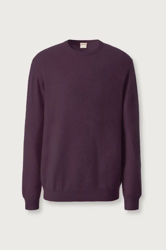 KANE sold by Massimo Alba