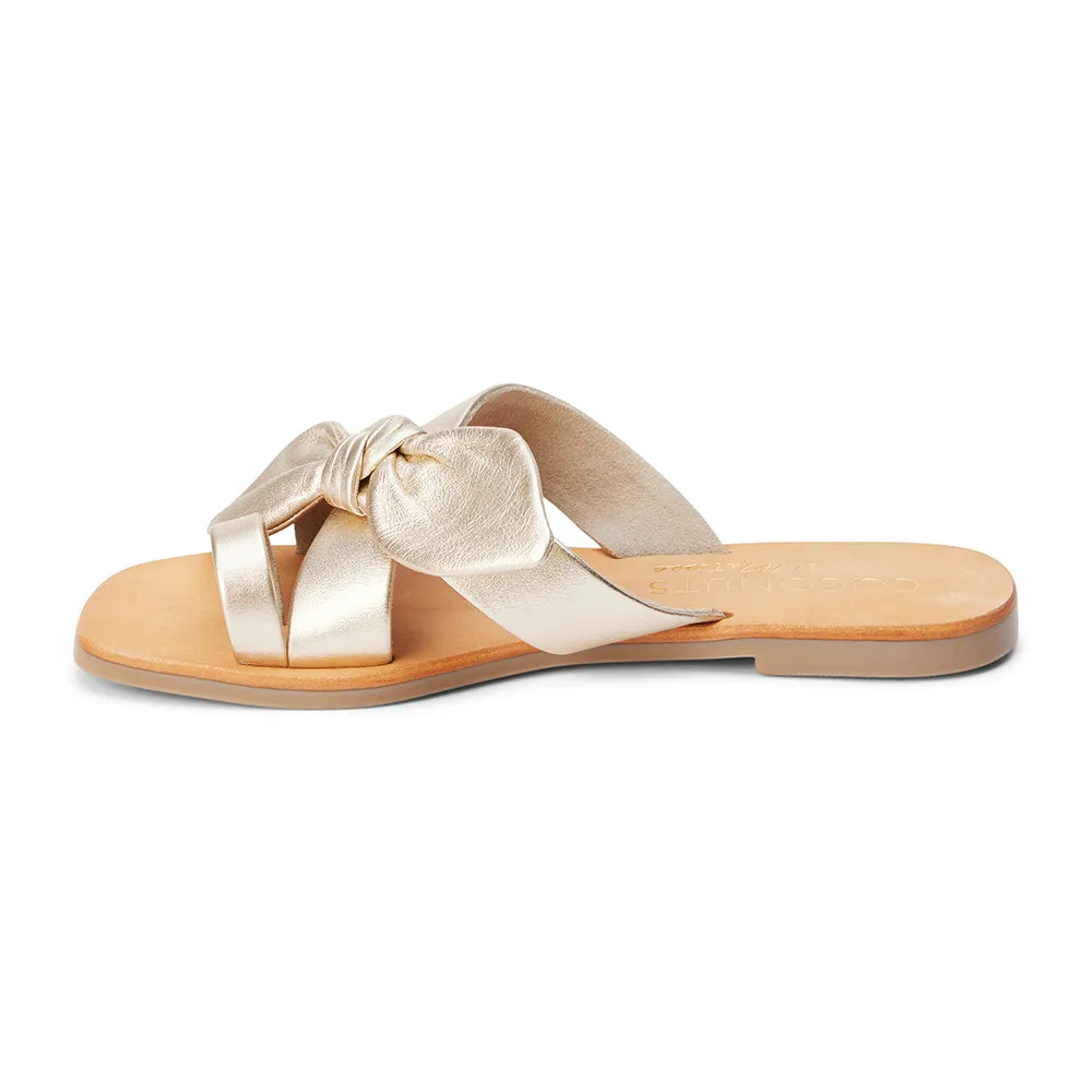 Vaughn Toe-Loop Sandal sold by Matisse product image thumbnail 2