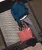 NIVI Vegan Tote Bag - APPLESKIN™ sold by Matt & Nat