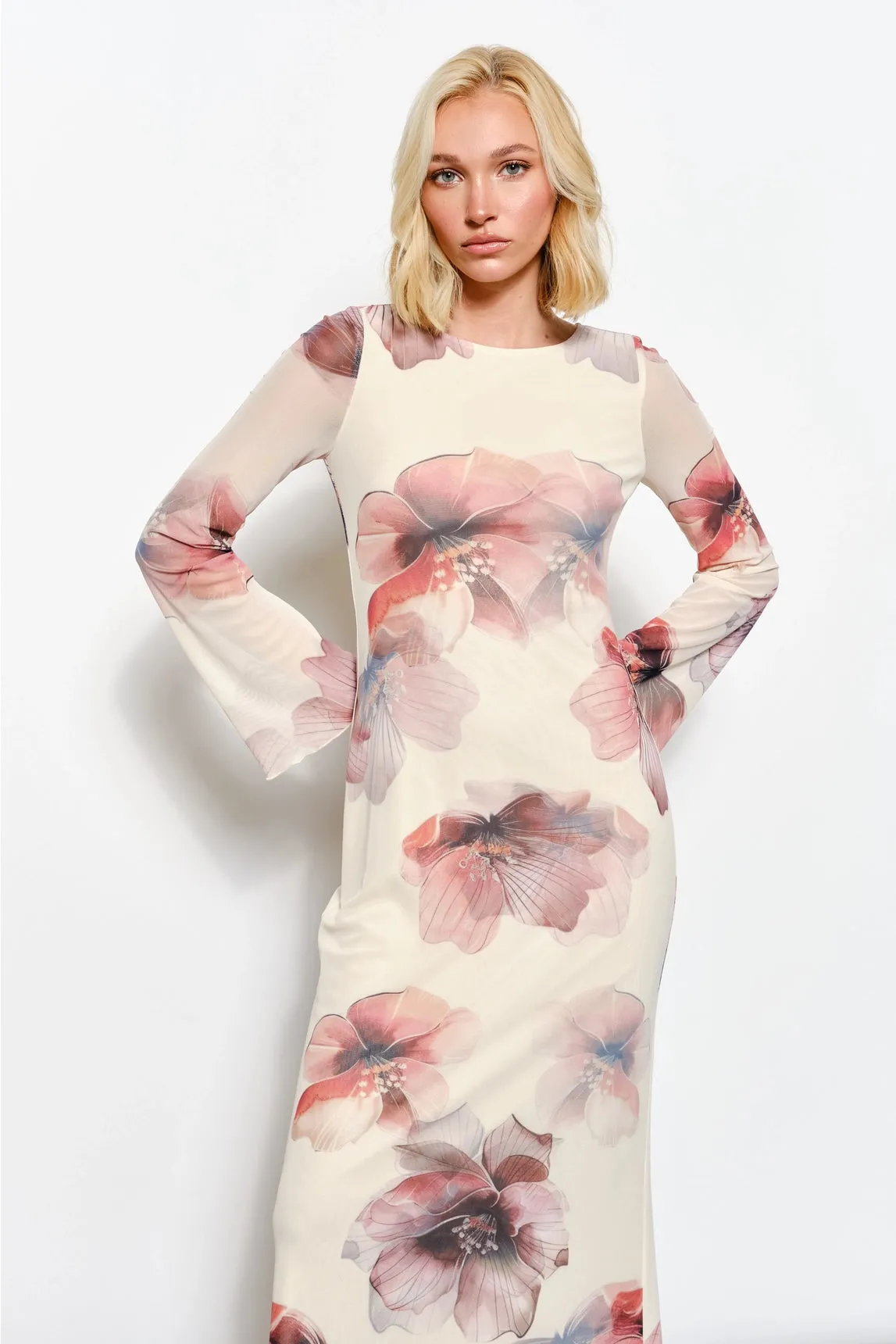 Ariana Floral Maxi Dress sold by Maude product image thumbnail 2