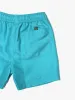 Boys Fifty Fifty Pool Shorts sold by Maui and Sons