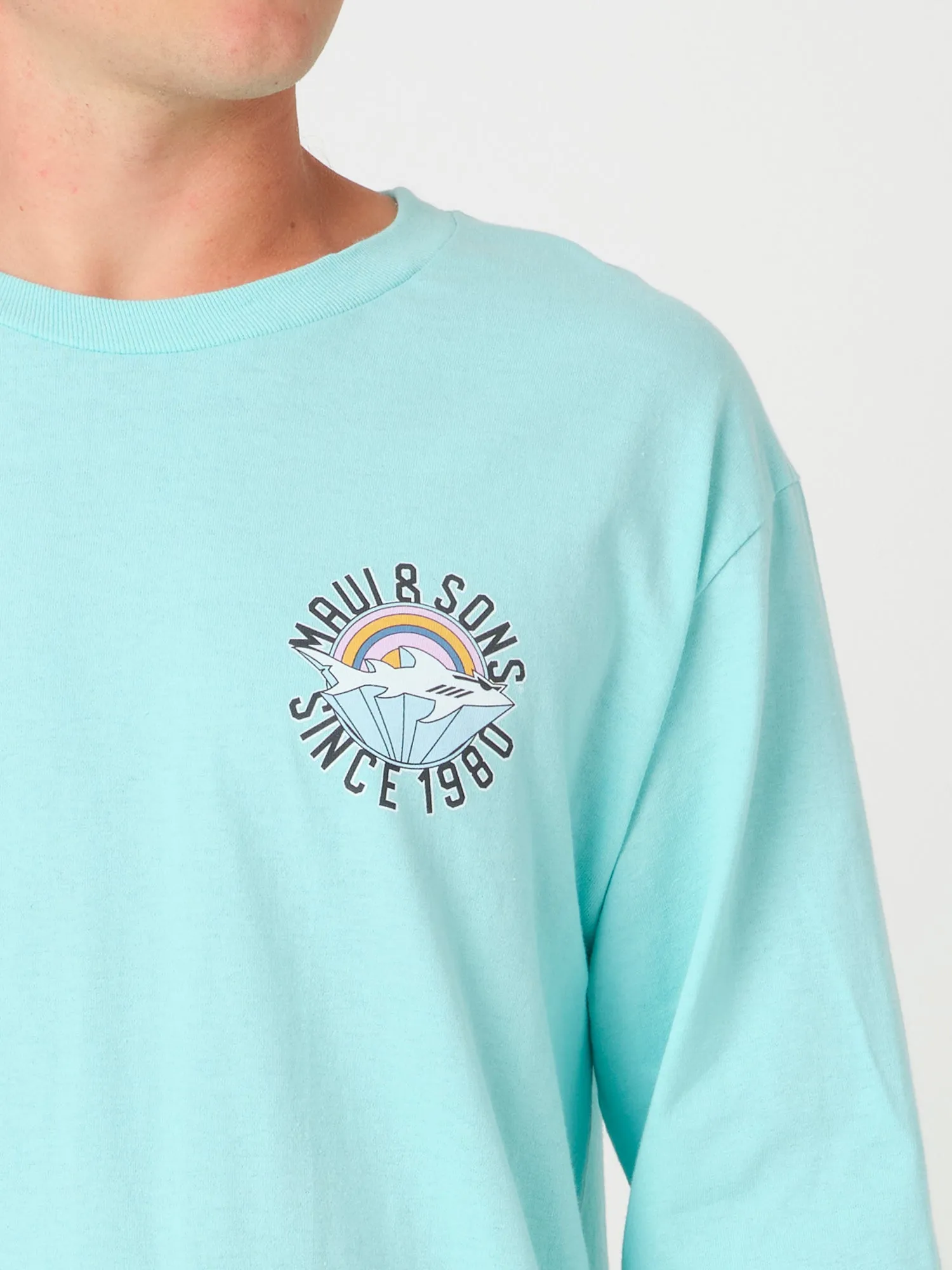 Beachbreak Long Sleeve in Celadon sold by Maui and Sons product image thumbnail 3