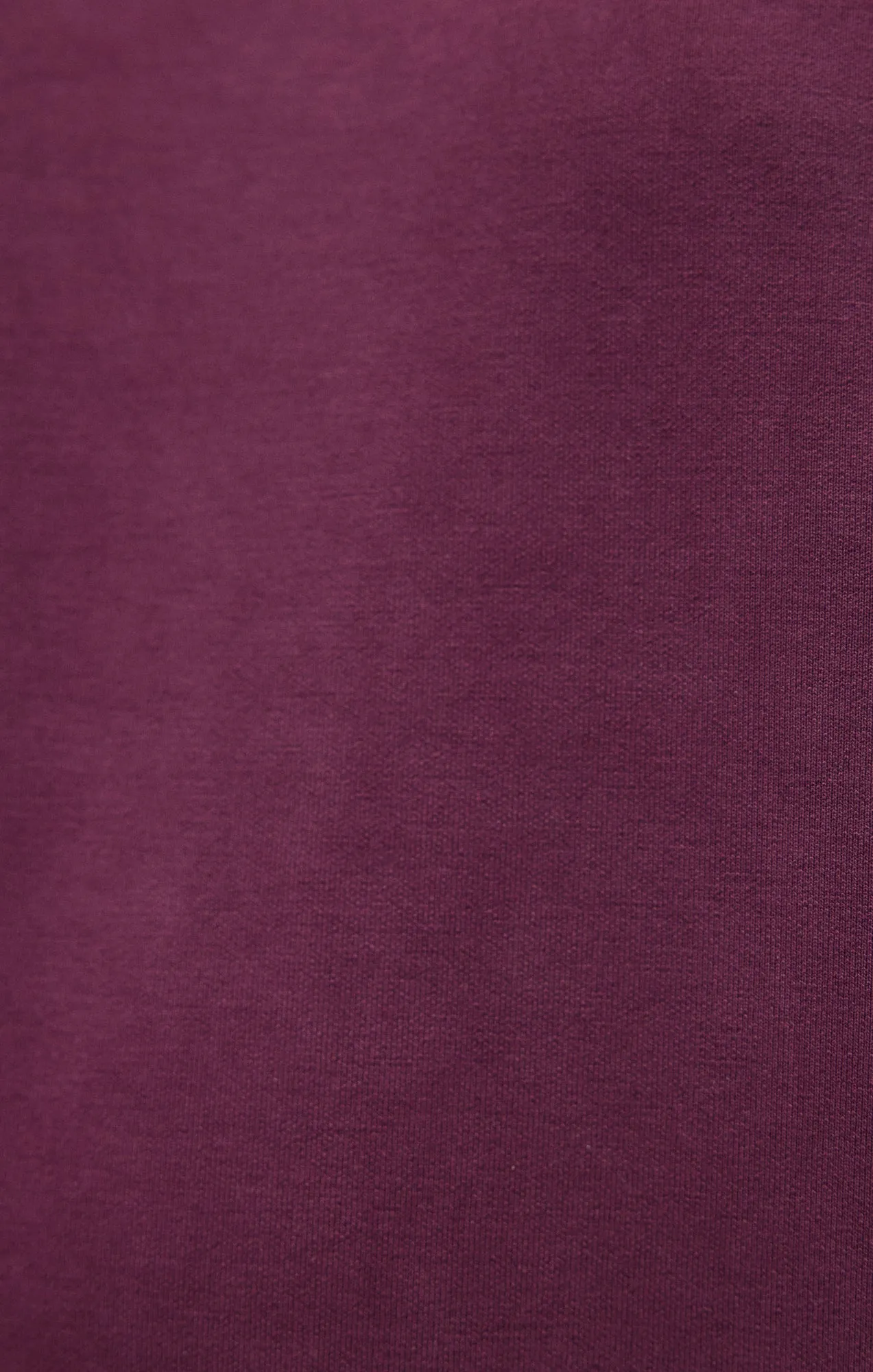 SWEATSHIRT IN SASSAFRAS sold by Mavi product image thumbnail 4