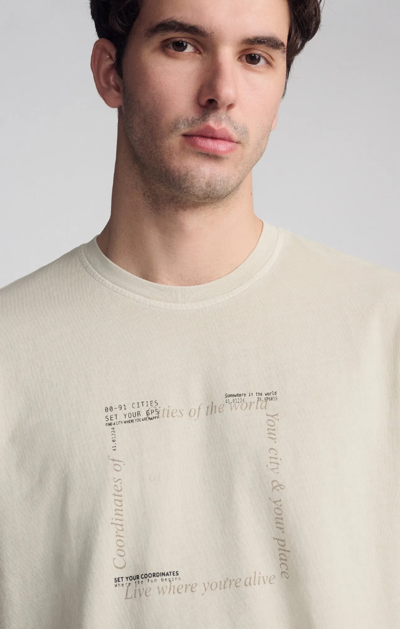 GRAPHIC CREW NECK T-SHIRT IN PELICAN sold by Mavi product image thumbnail 4