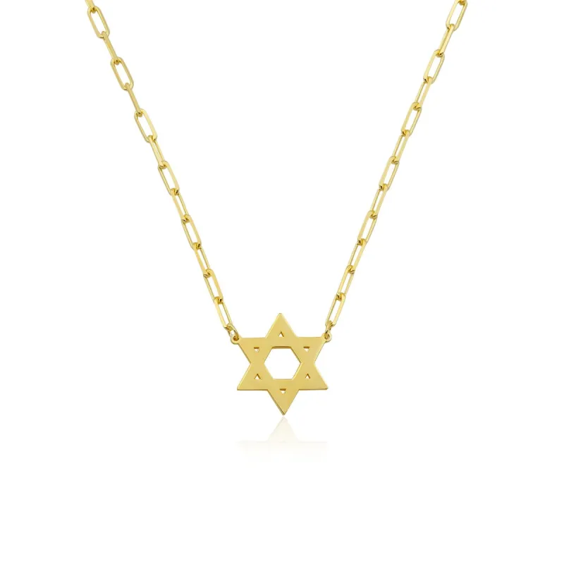 Paperclip Chain and Dainty Gold Plated Jewish Star of David Necklace sold by Meira T