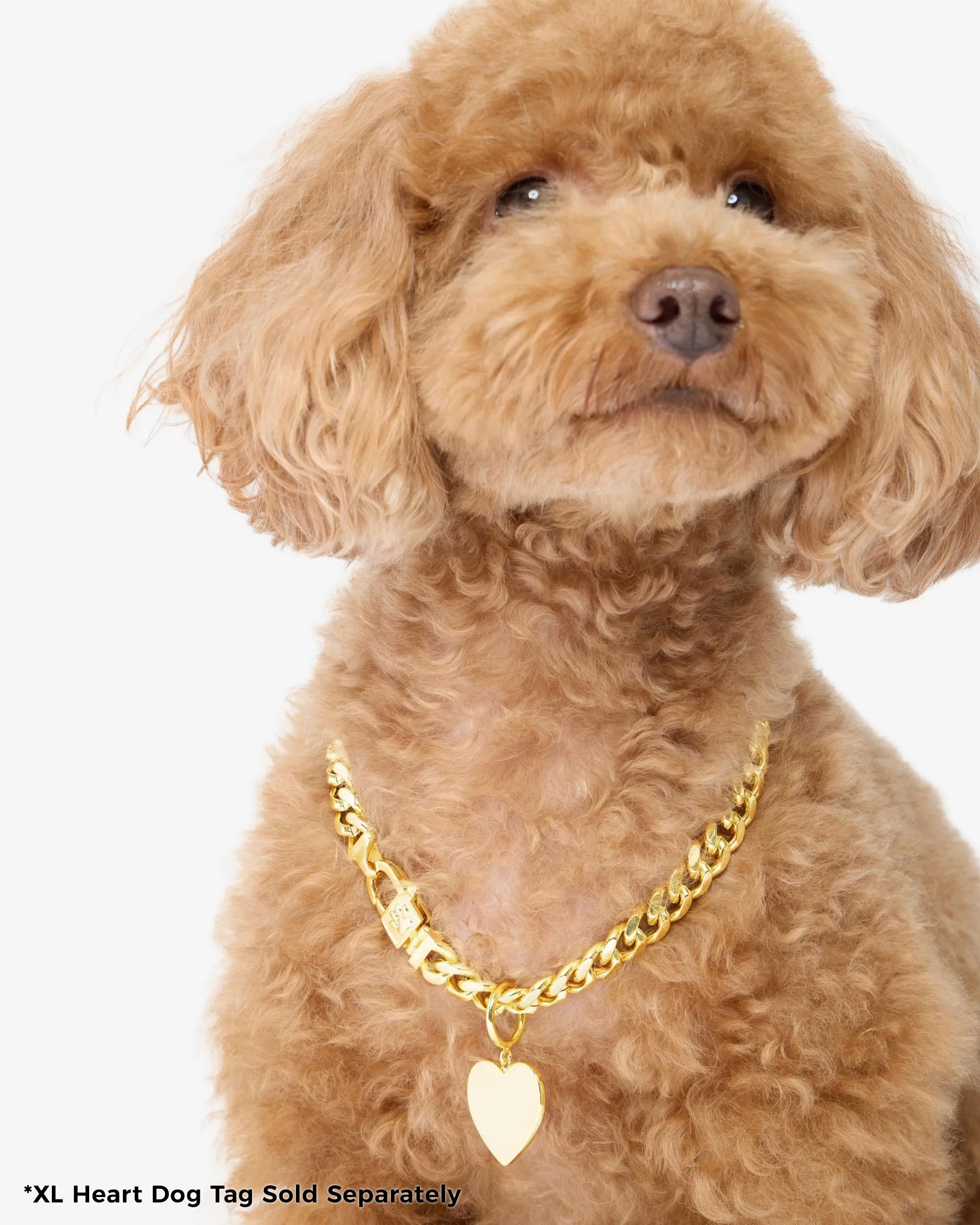 XL Heart Engravable Dog Tag - Gold sold by Melinda Maria product image thumbnail 5