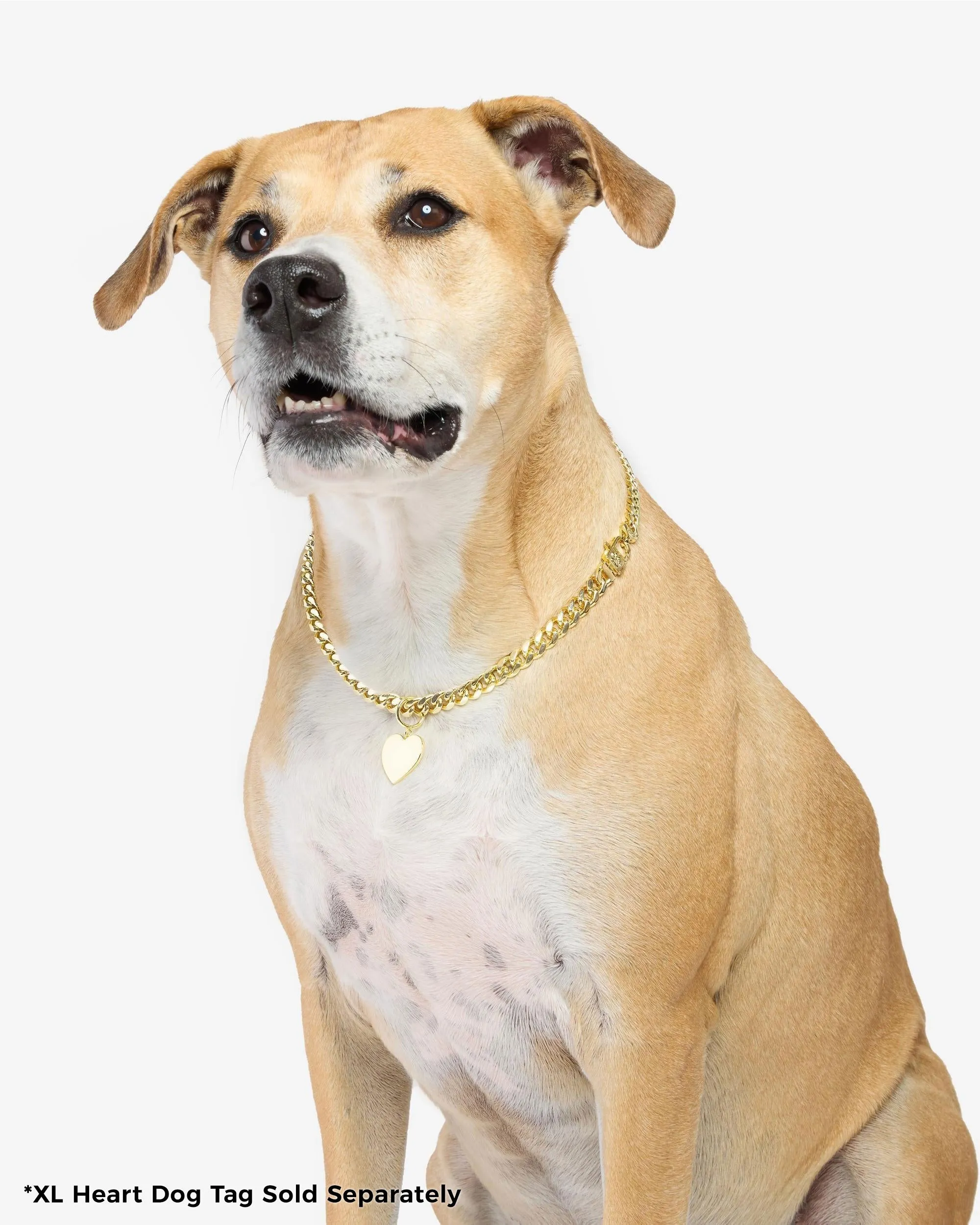 XL Heart Engravable Dog Tag - Gold sold by Melinda Maria product image thumbnail 3