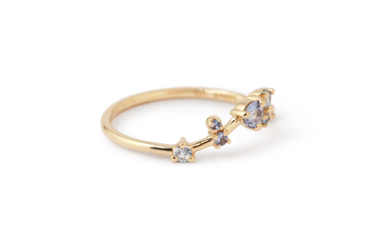 Sapphire Organic Triangle Ring by WWAKE sold by Melissa Joy Manning product image thumbnail 3
