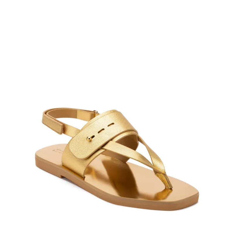 Adria – Gold sold by MERCEDES CASTILLO