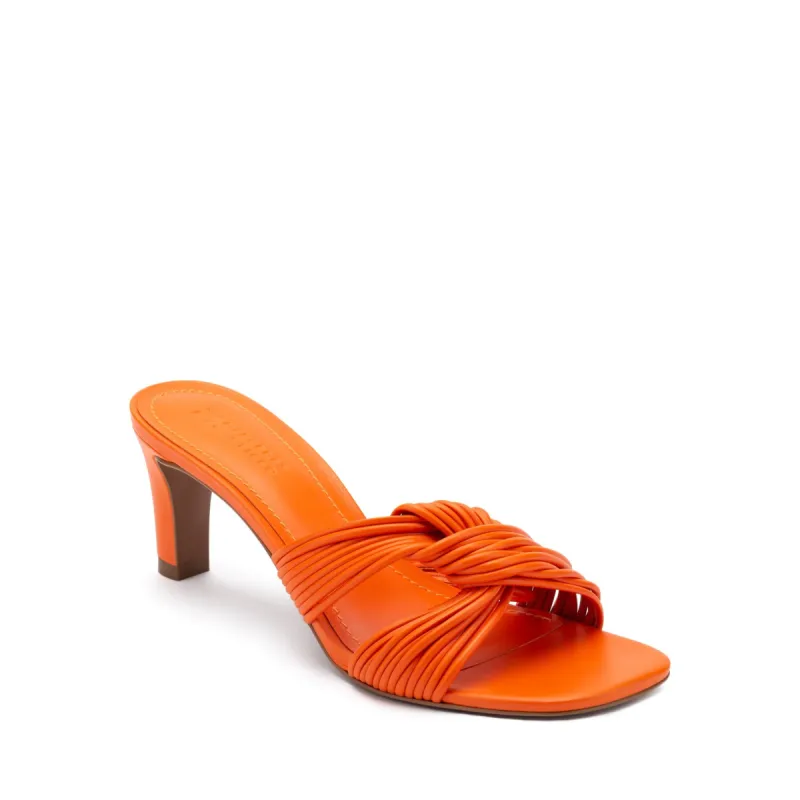 Nicole – Orangine sold by MERCEDES CASTILLO