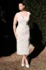 Doria Lace Plisse Midi Dress - Ivory sold by Meshki