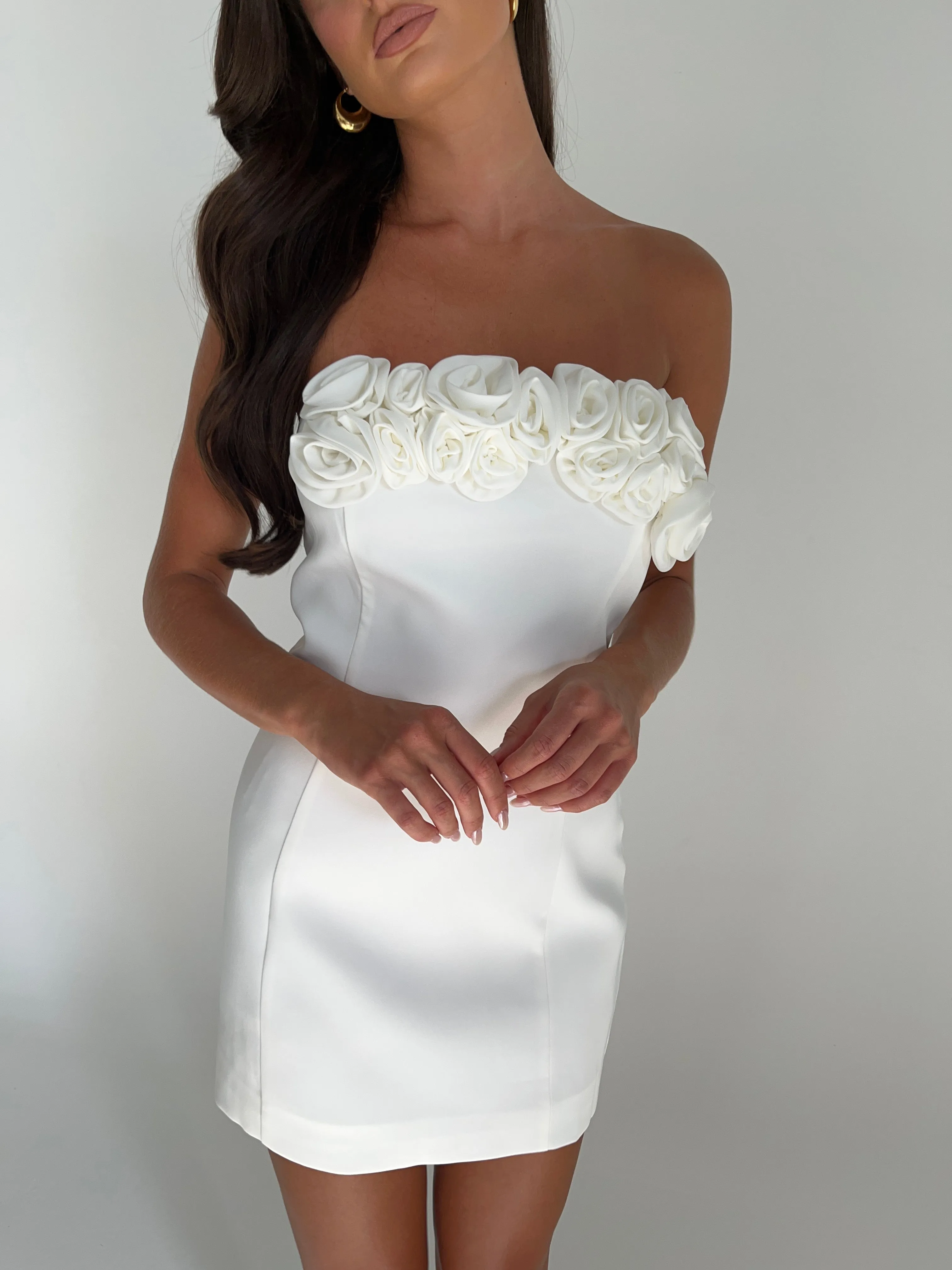 Brooks Rose Mini Dress - White sold by Meshki product image thumbnail 5