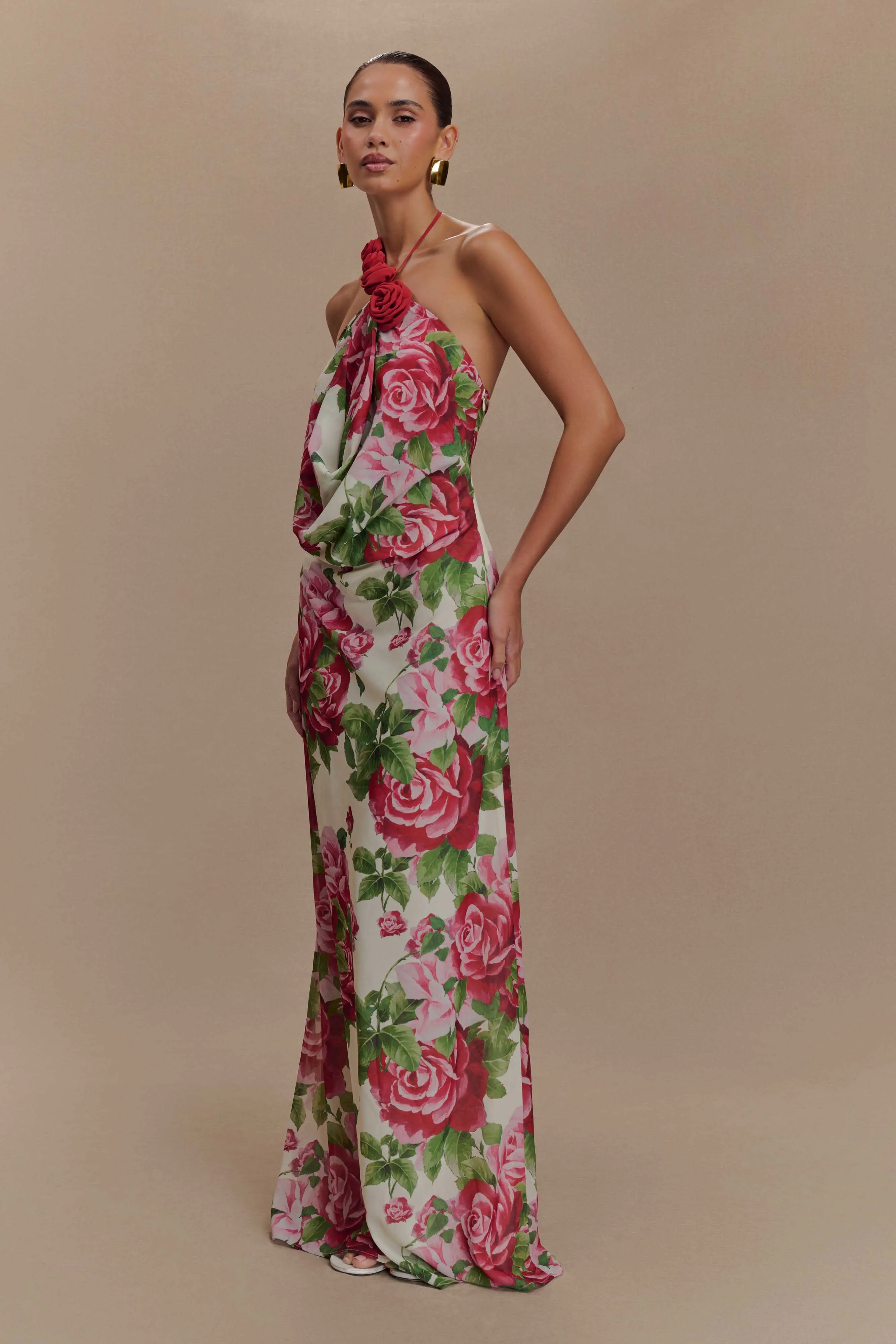 Rosalia Cowl Neck Maxi Dress - Sonia Rose Print sold by Meshki product image thumbnail 5