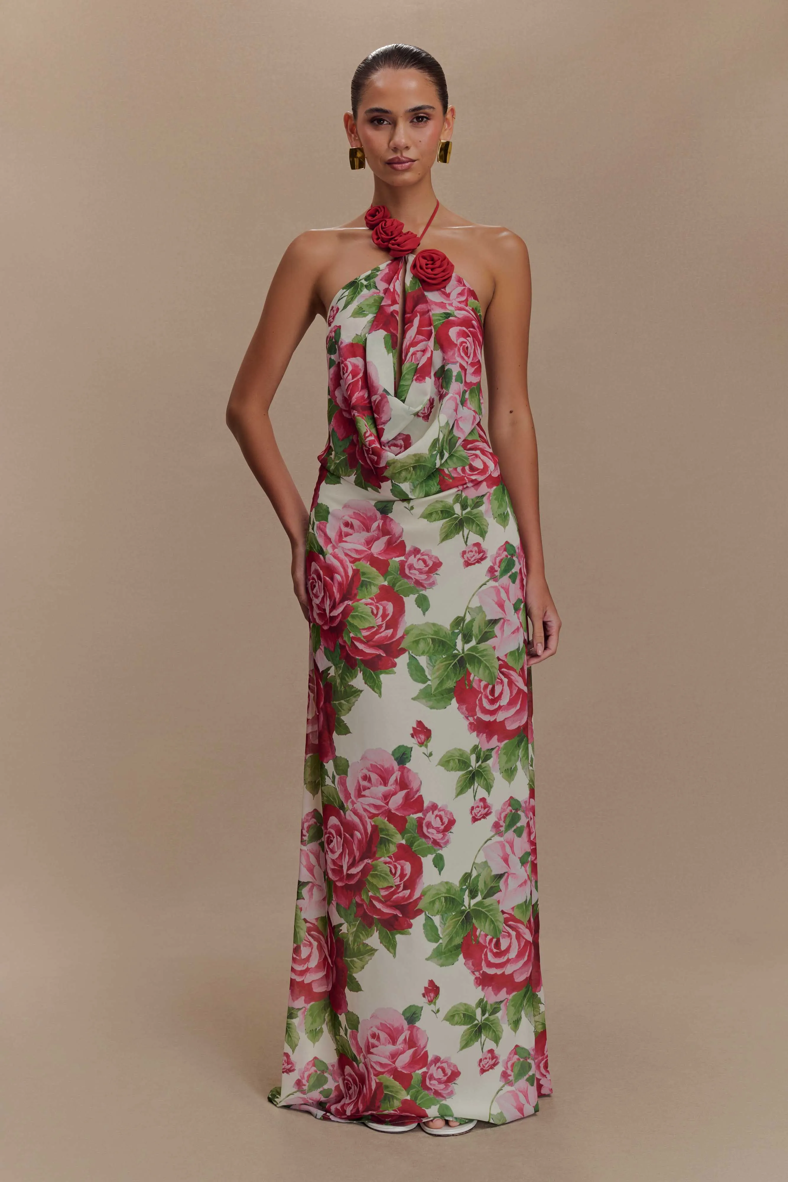 Rosalia Cowl Neck Maxi Dress - Sonia Rose Print sold by Meshki product image thumbnail 3
