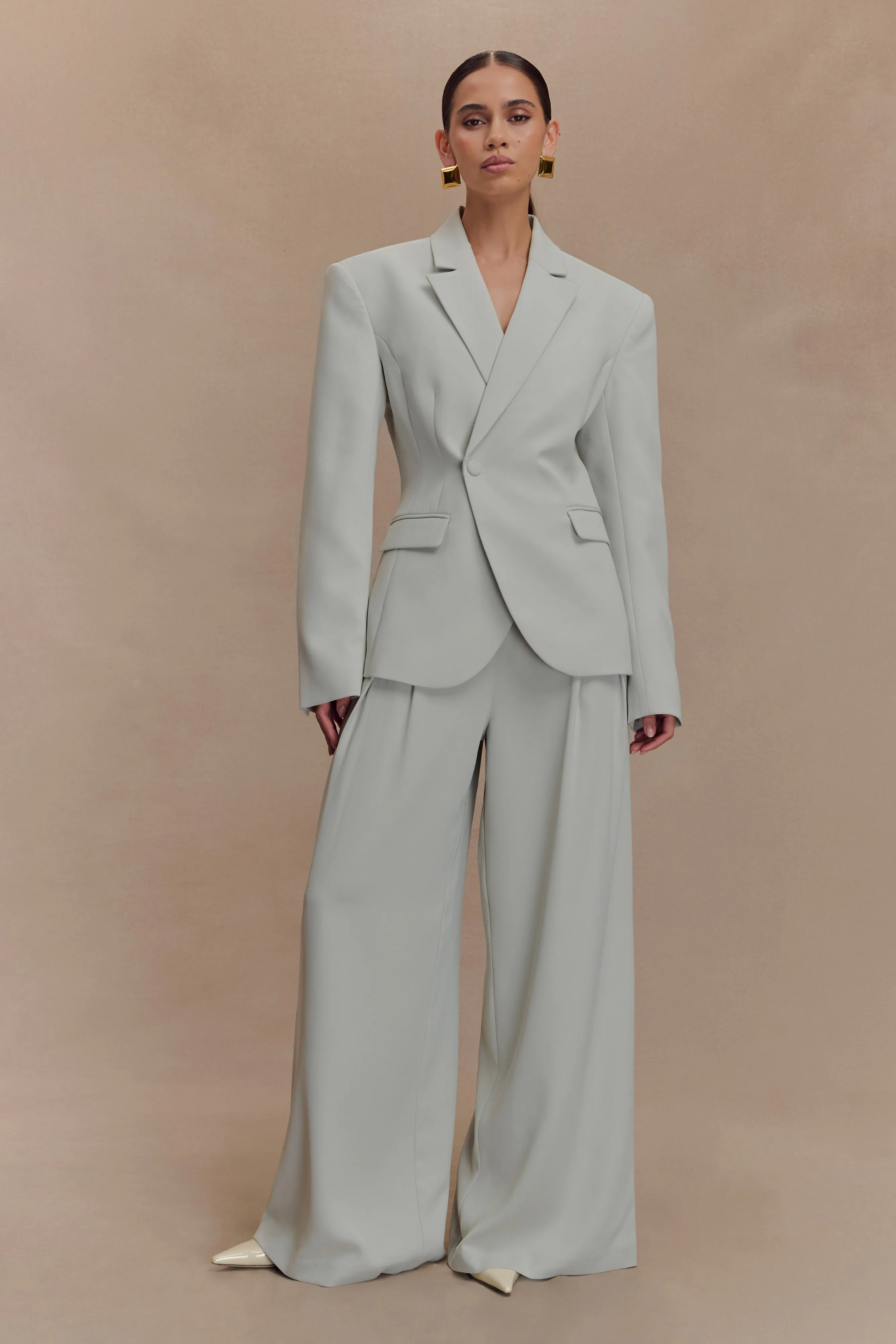 Jameson Pleated Wide Leg Pants - Light Sage sold by Meshki