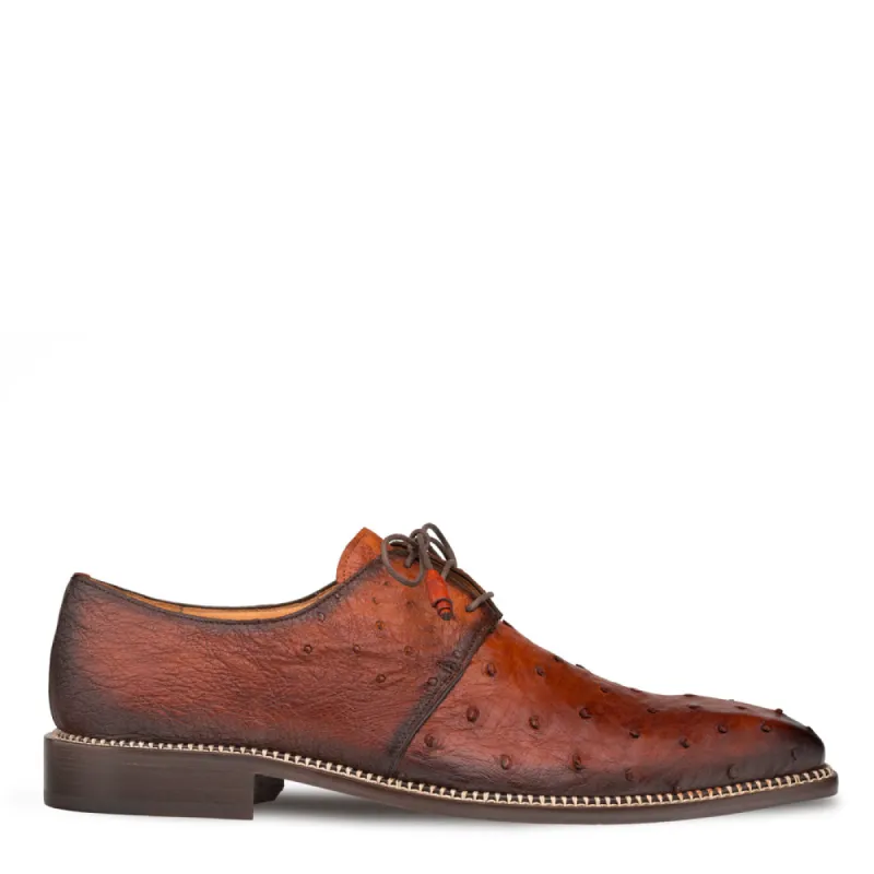 Tillson Ostrich Derby sold by Mezlan