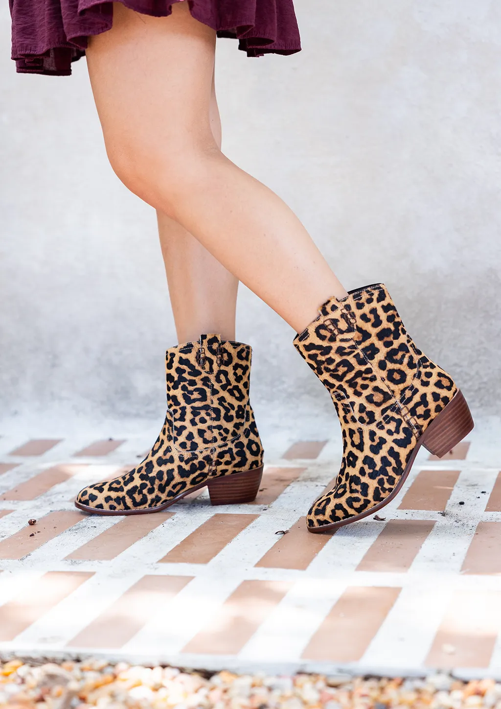 LAURYN - LEOPARD sold by Mia Shoes product image thumbnail 5