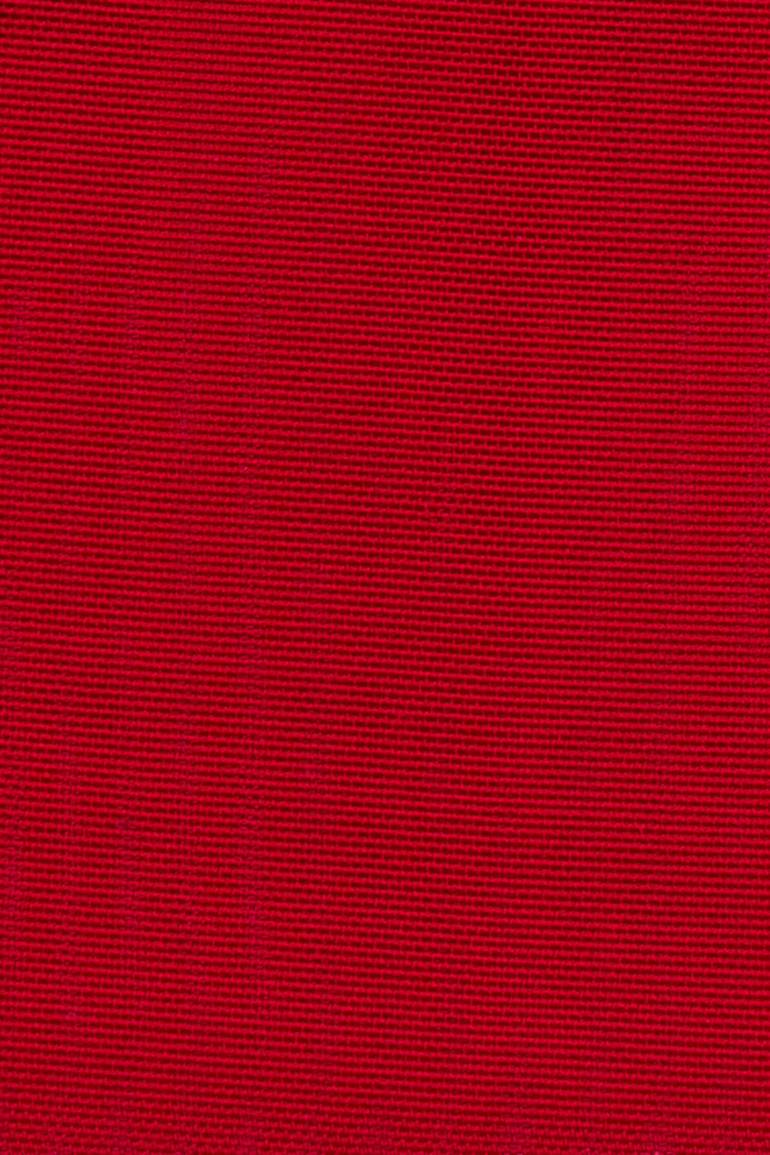 VERO SKIRT - RED ROSE sold by Miaou product image thumbnail 4