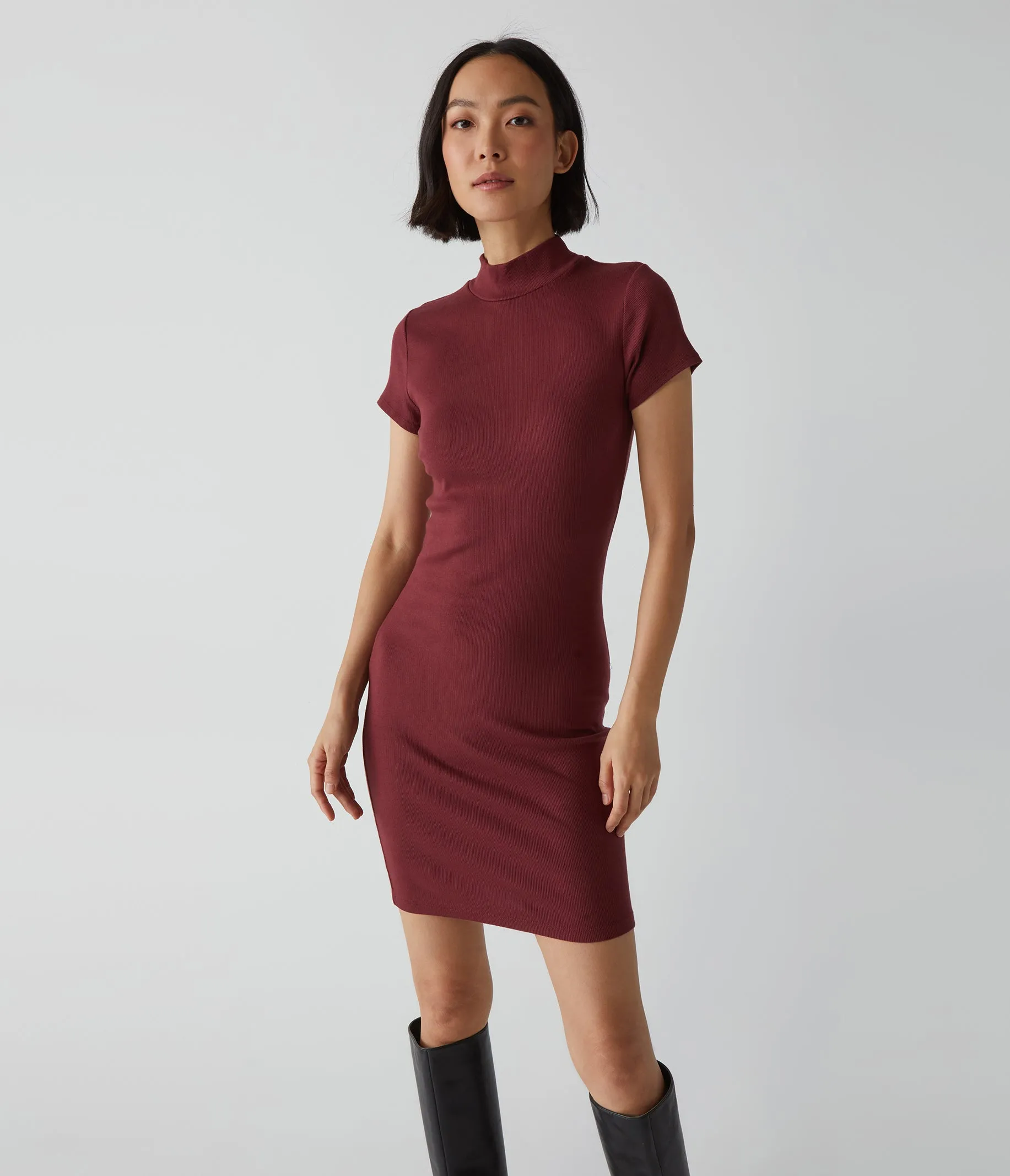 Viv Mock Neck Dress sold by Michael Stars