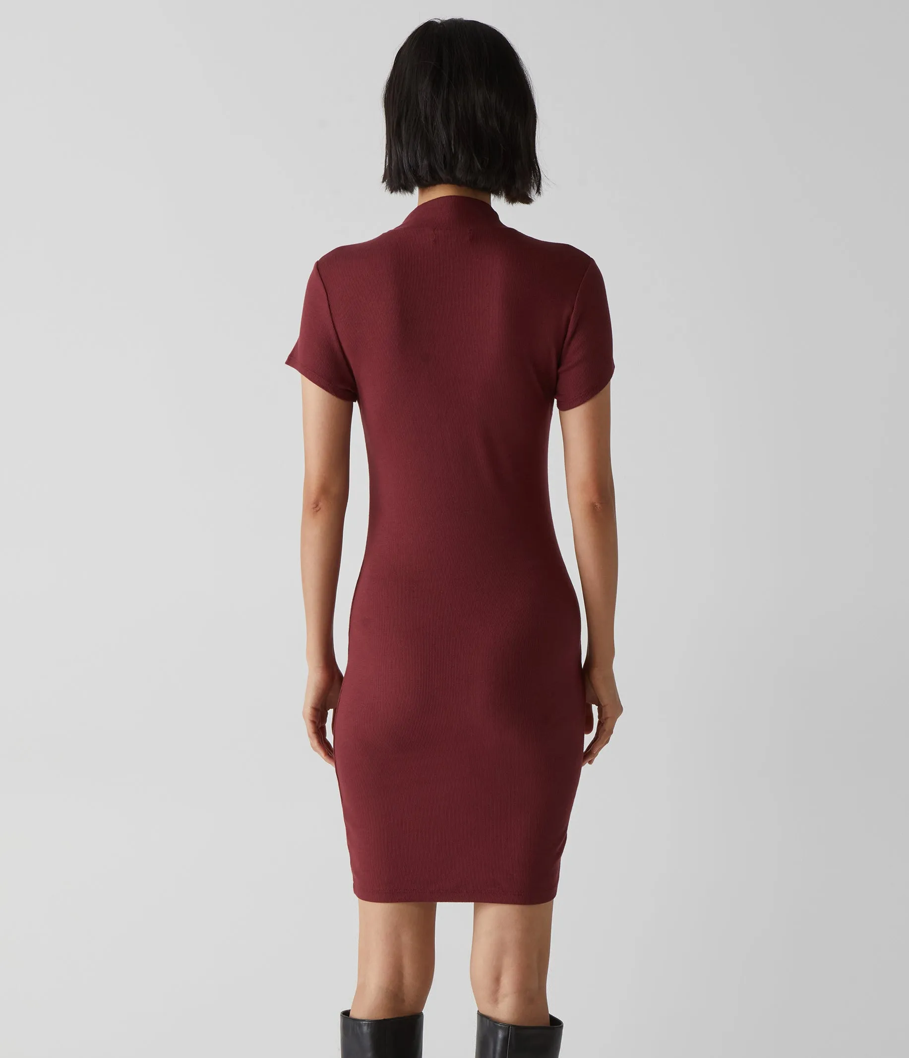 Viv Mock Neck Dress sold by Michael Stars product image thumbnail 4