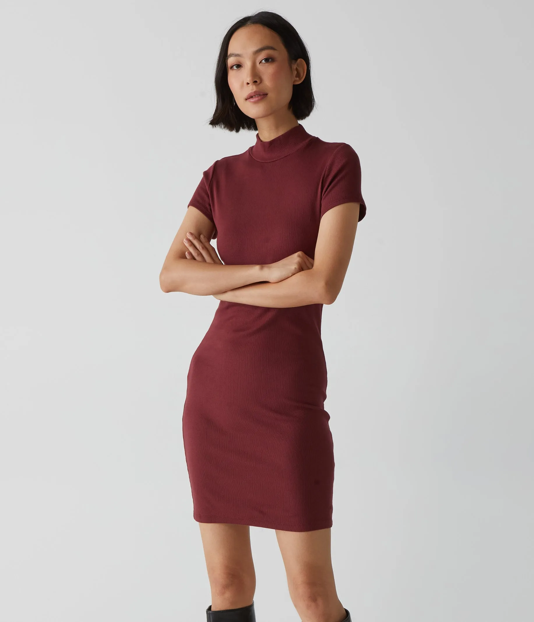 Viv Mock Neck Dress sold by Michael Stars product image thumbnail 3