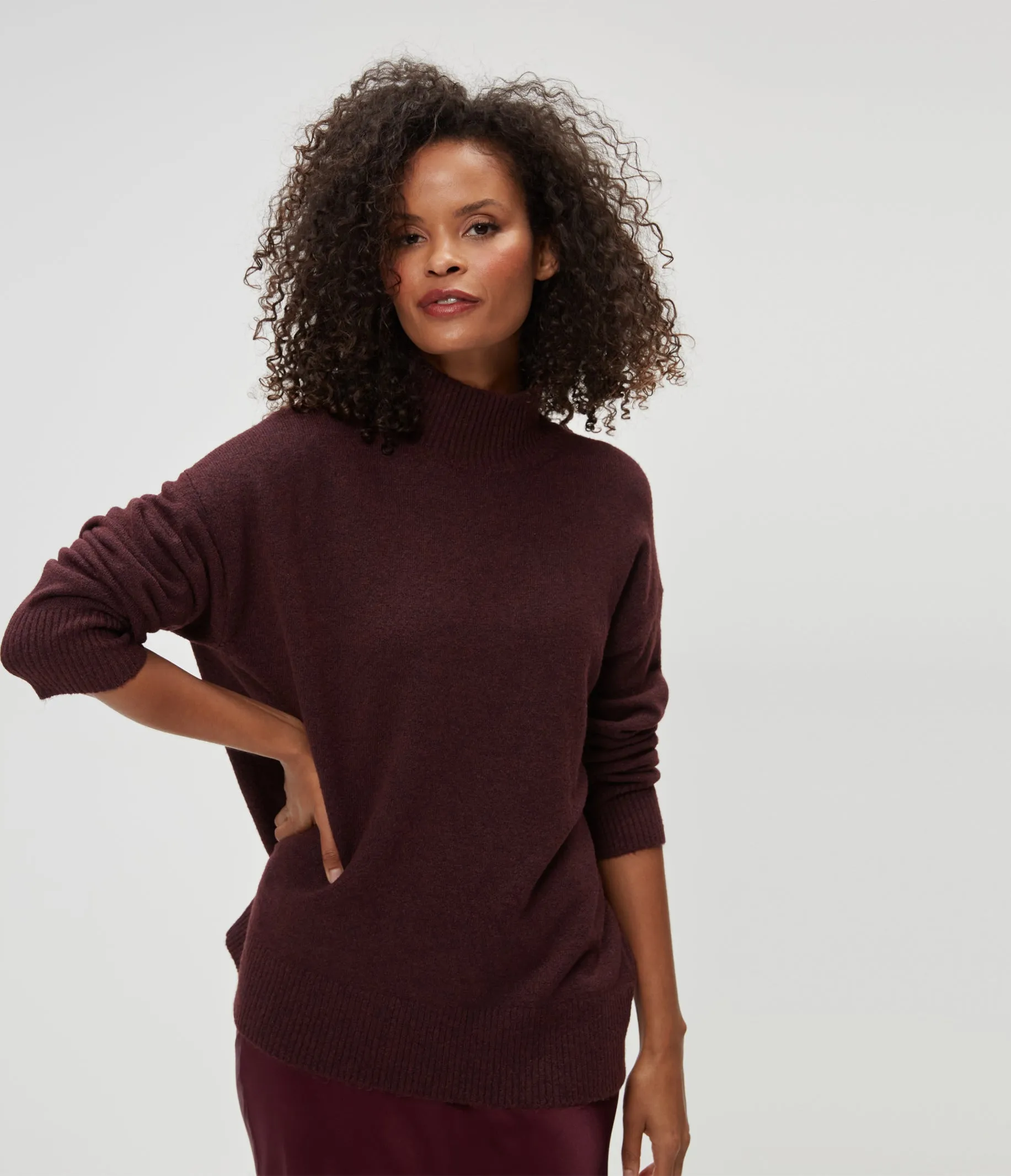 Effy Turtleneck Sweater sold by Michael Stars product image thumbnail 2
