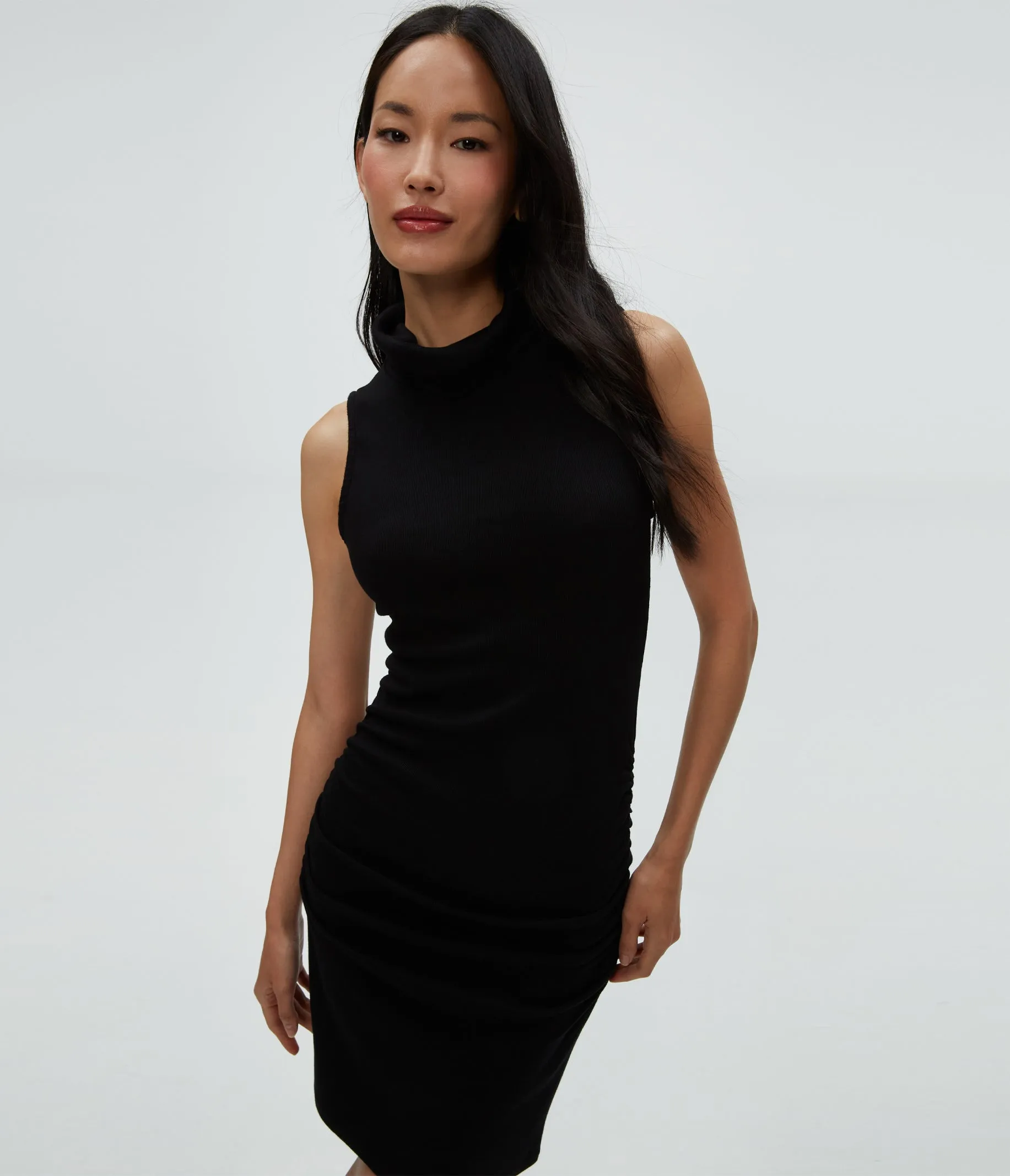 Petite Macy Dress sold by Michael Stars product image thumbnail 5