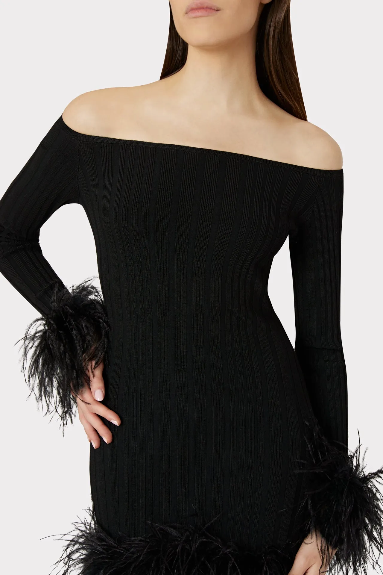 Rosette Feather Trim Mini Dress sold by Milly product image thumbnail 3