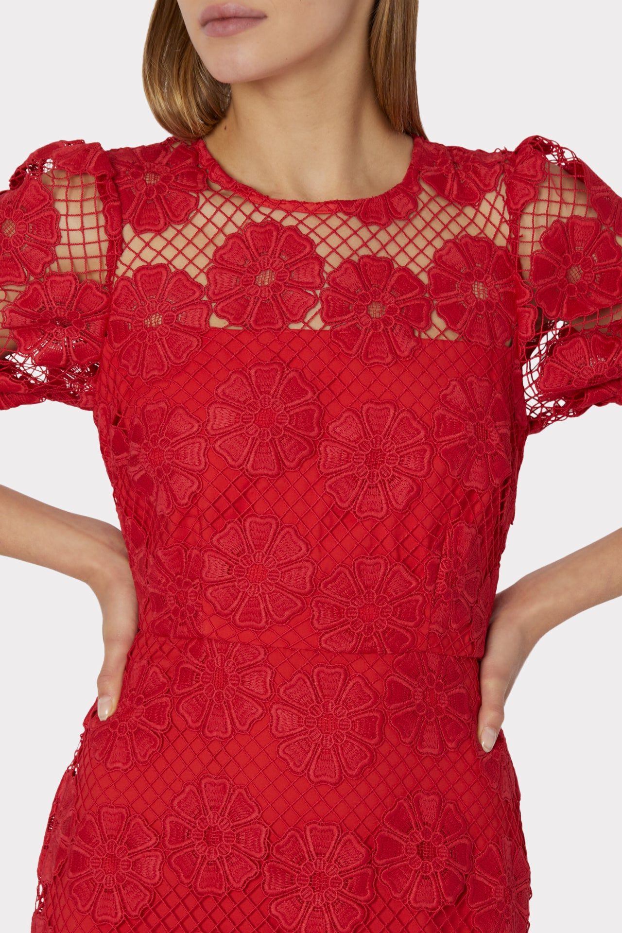 Yasmin Floral Lace Dress sold by Milly product image thumbnail 3