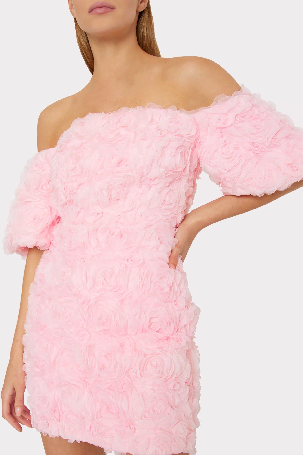 Naia Mesh Rose Mini Dress sold by Milly product image thumbnail 3