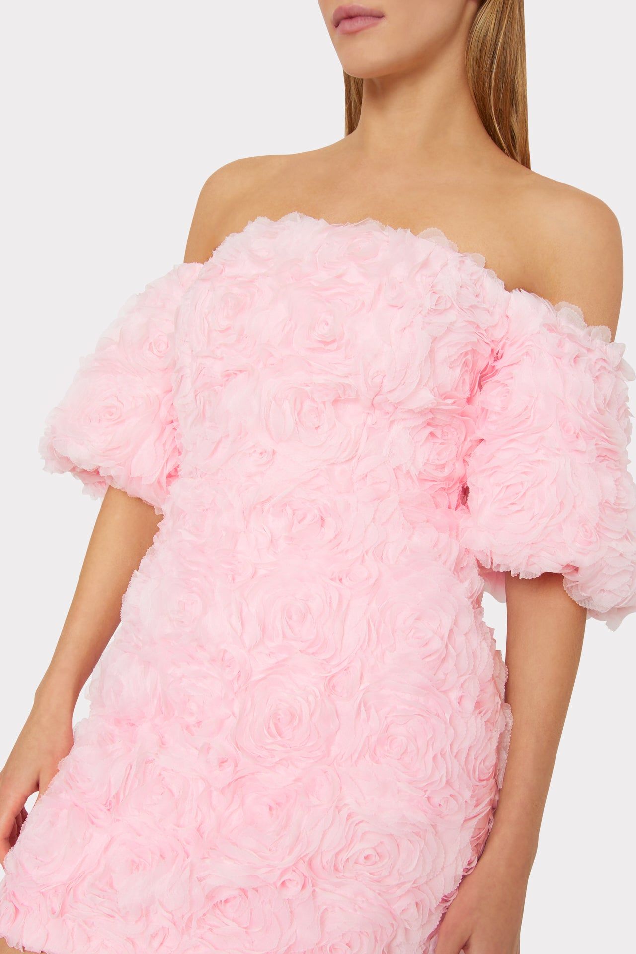 Naia Mesh Rose Mini Dress sold by Milly product image thumbnail 4