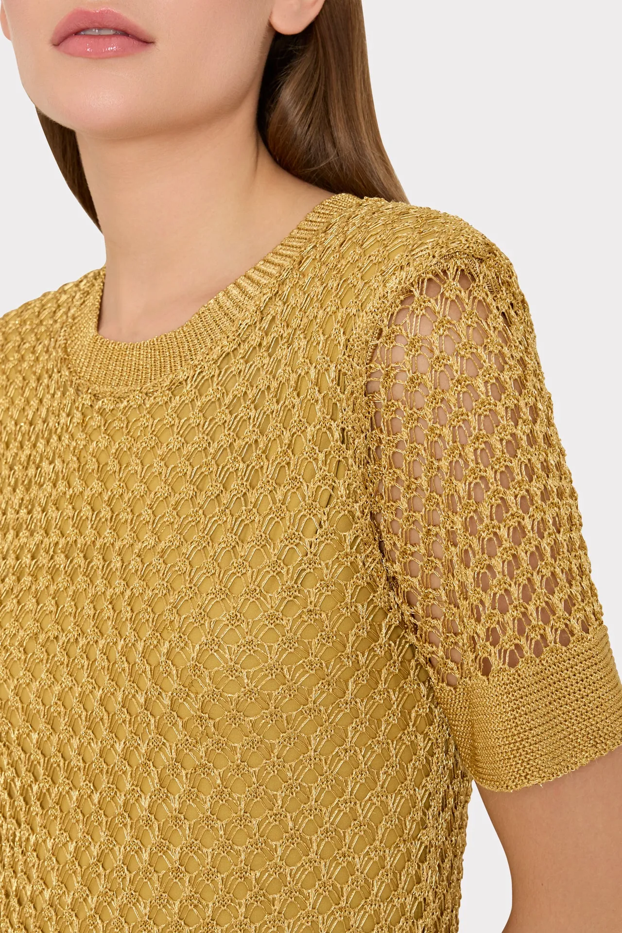 Sinclair Metallic Mesh Mini Dress sold by Milly product image thumbnail 3