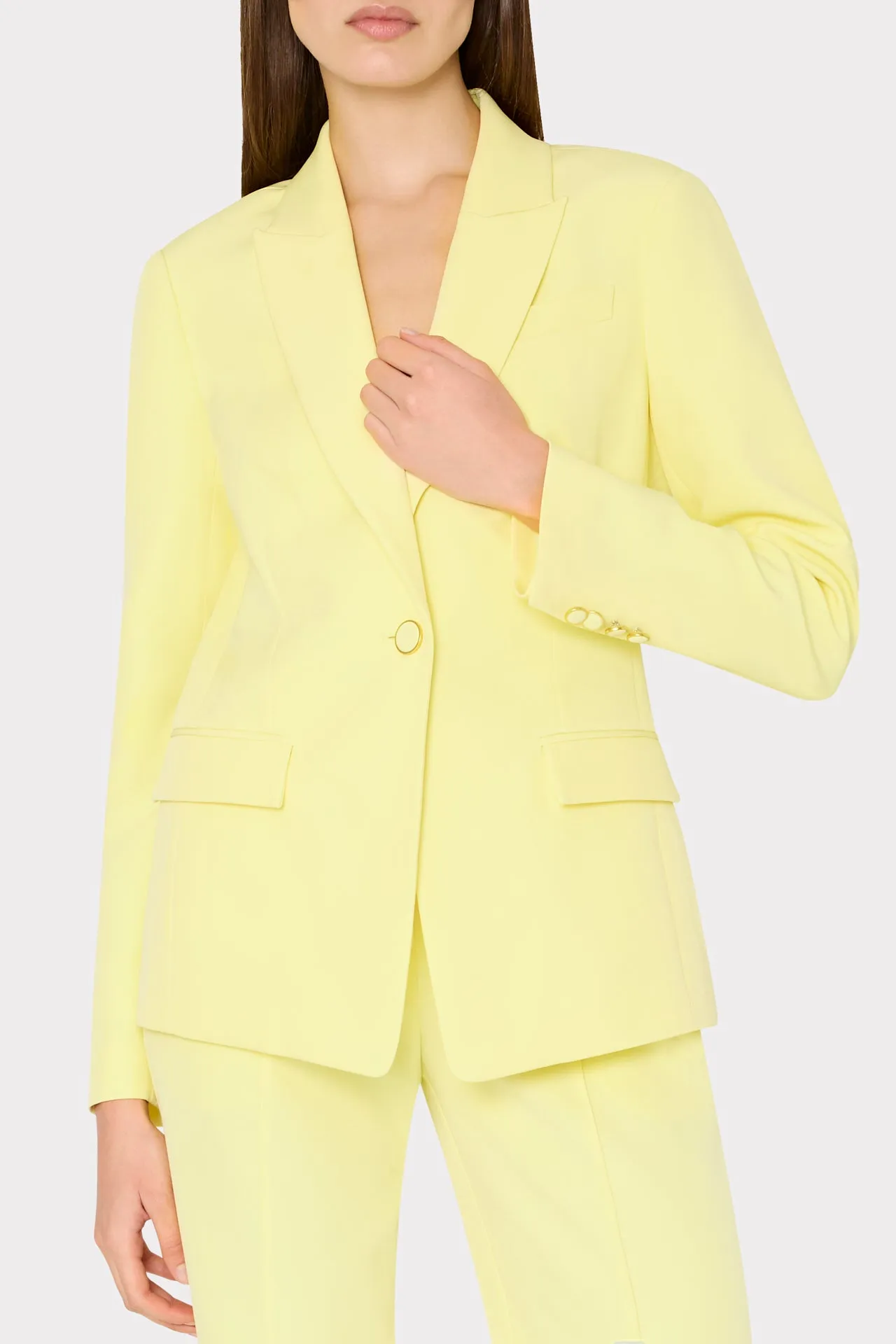 Avery Cady Blazer sold by Milly product image thumbnail 3