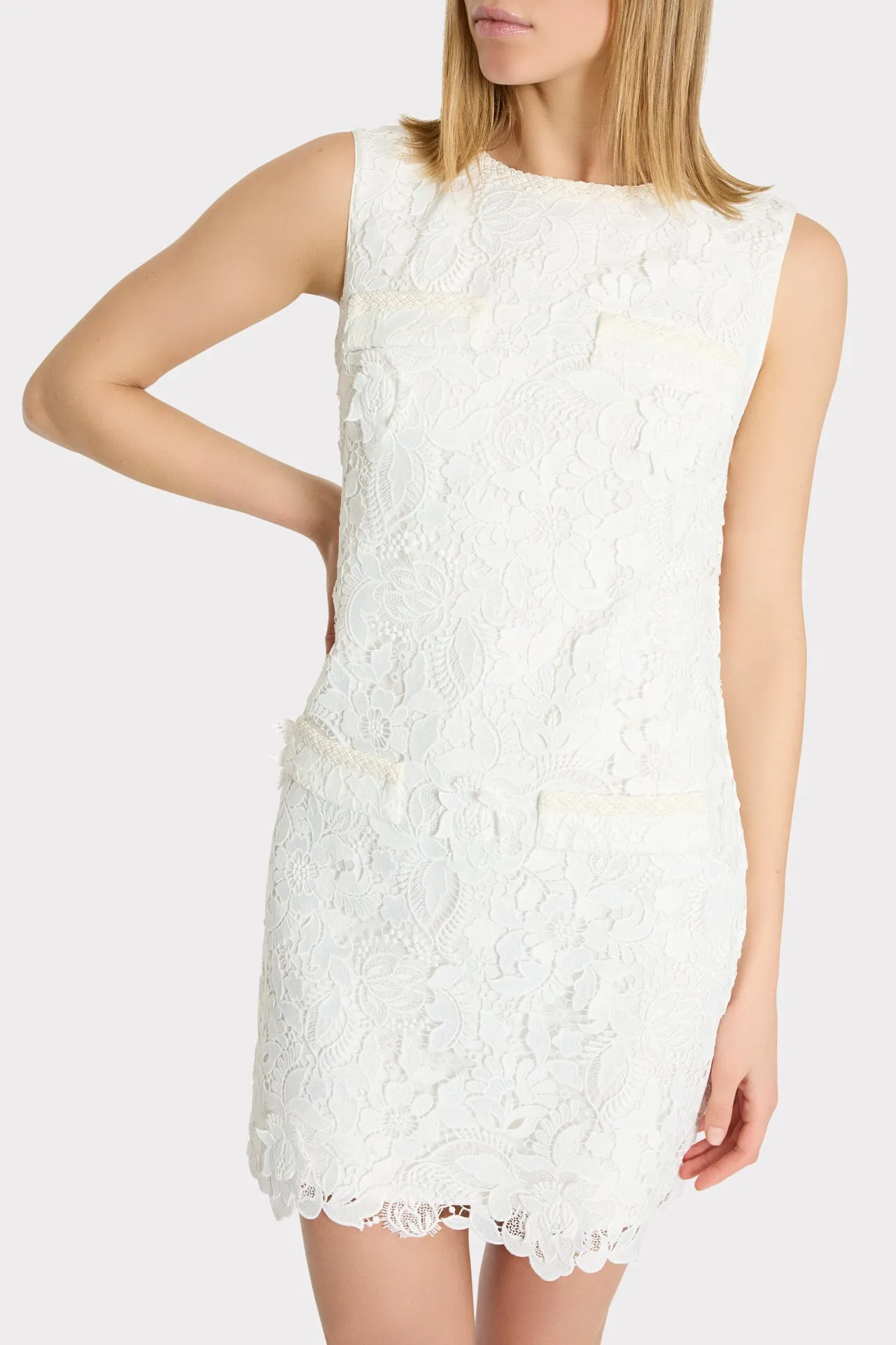 3D Garden Lace Sleeveless Mini Dress sold by Milly product image thumbnail 3