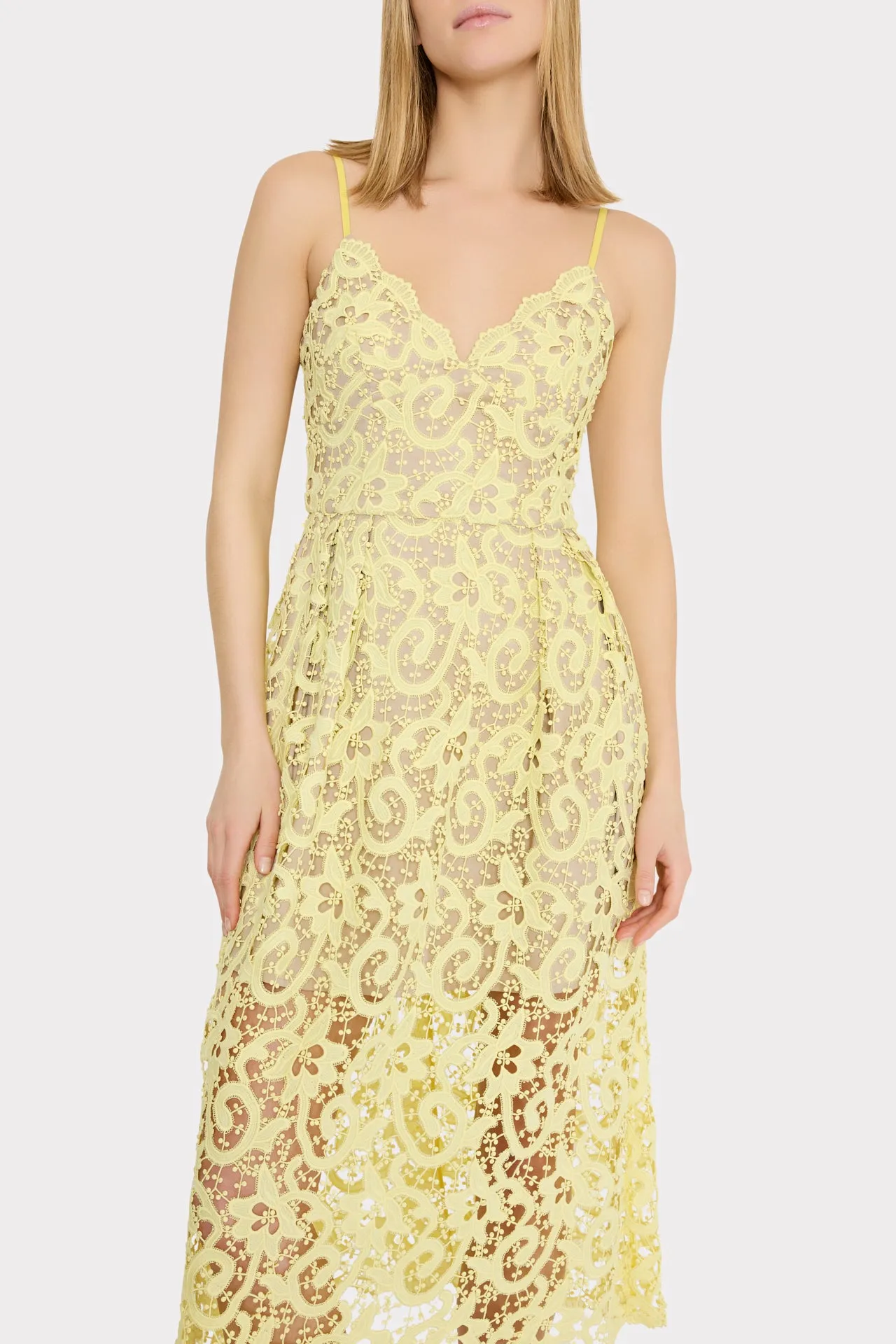Elle Lace Midi Dress sold by Milly product image thumbnail 3