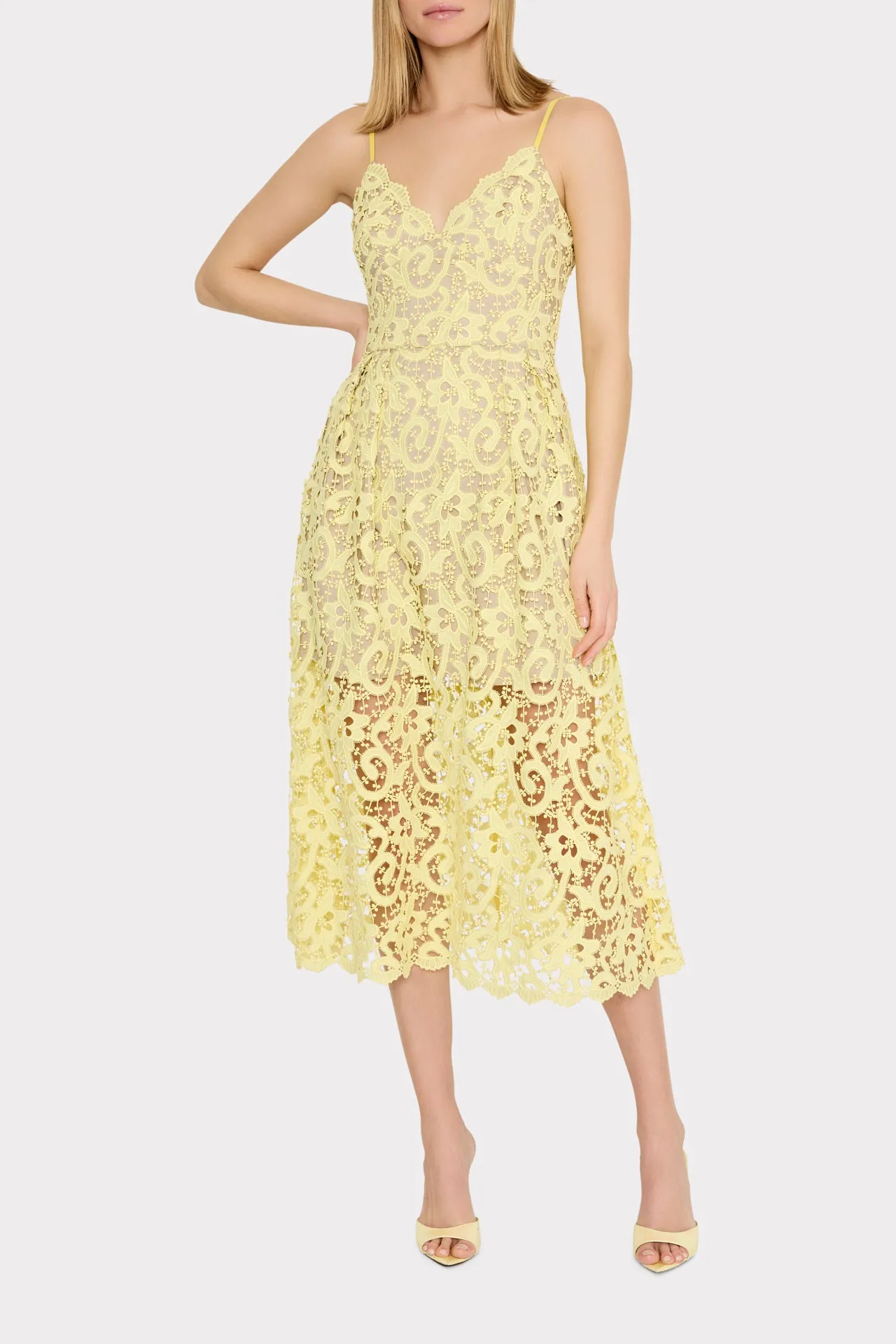 Elle Lace Midi Dress sold by Milly product image thumbnail 2