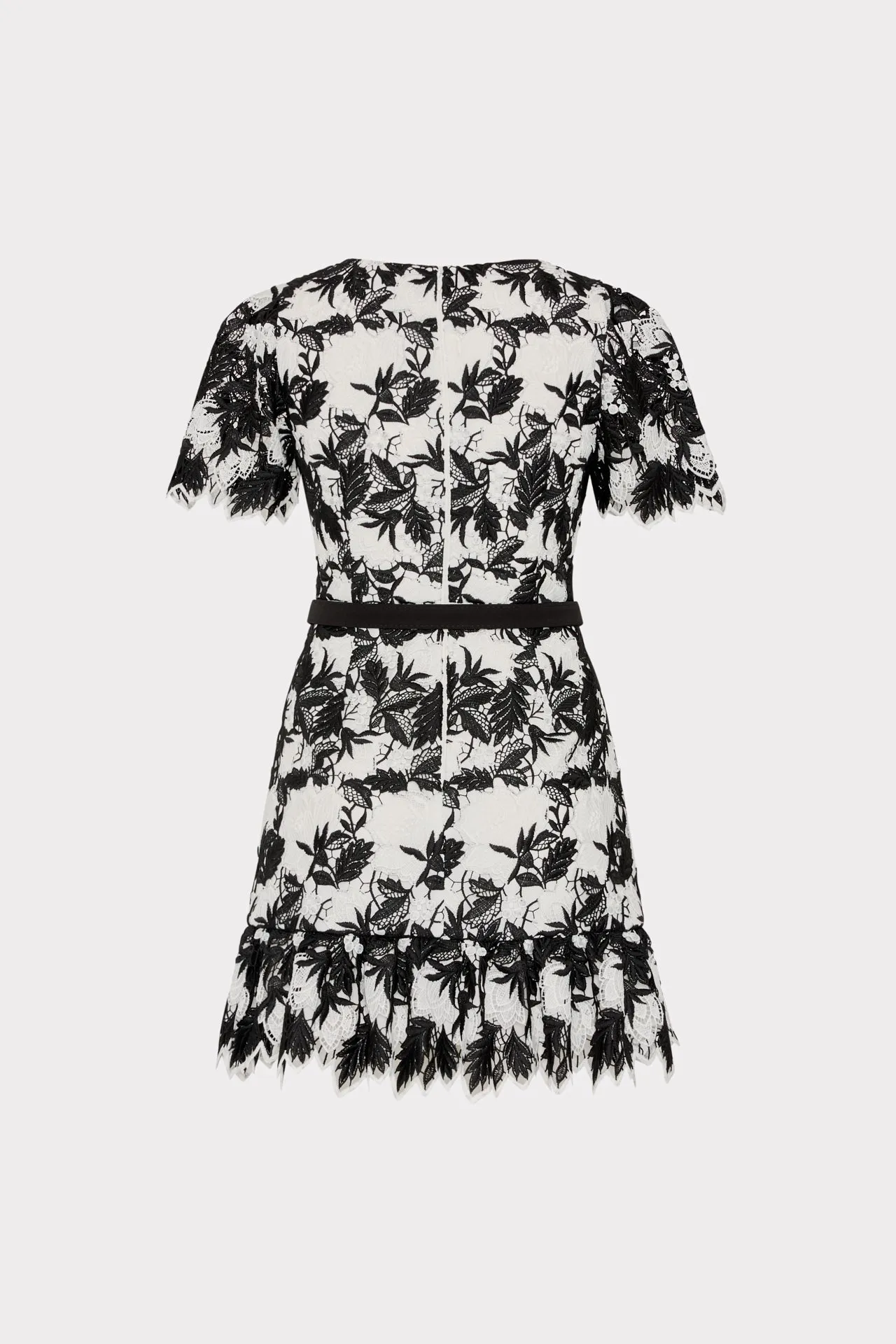 Paola Two Tone Lace Mini Dress sold by Milly product image thumbnail 4