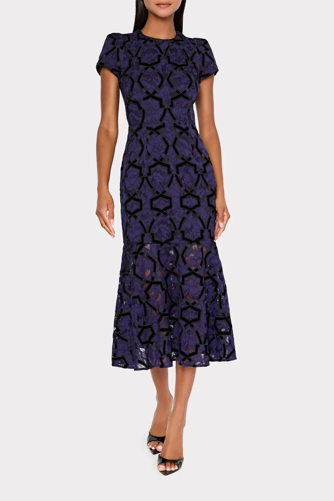 Tahlia Velvet Flocked Lace Dress sold by Milly product image thumbnail 2