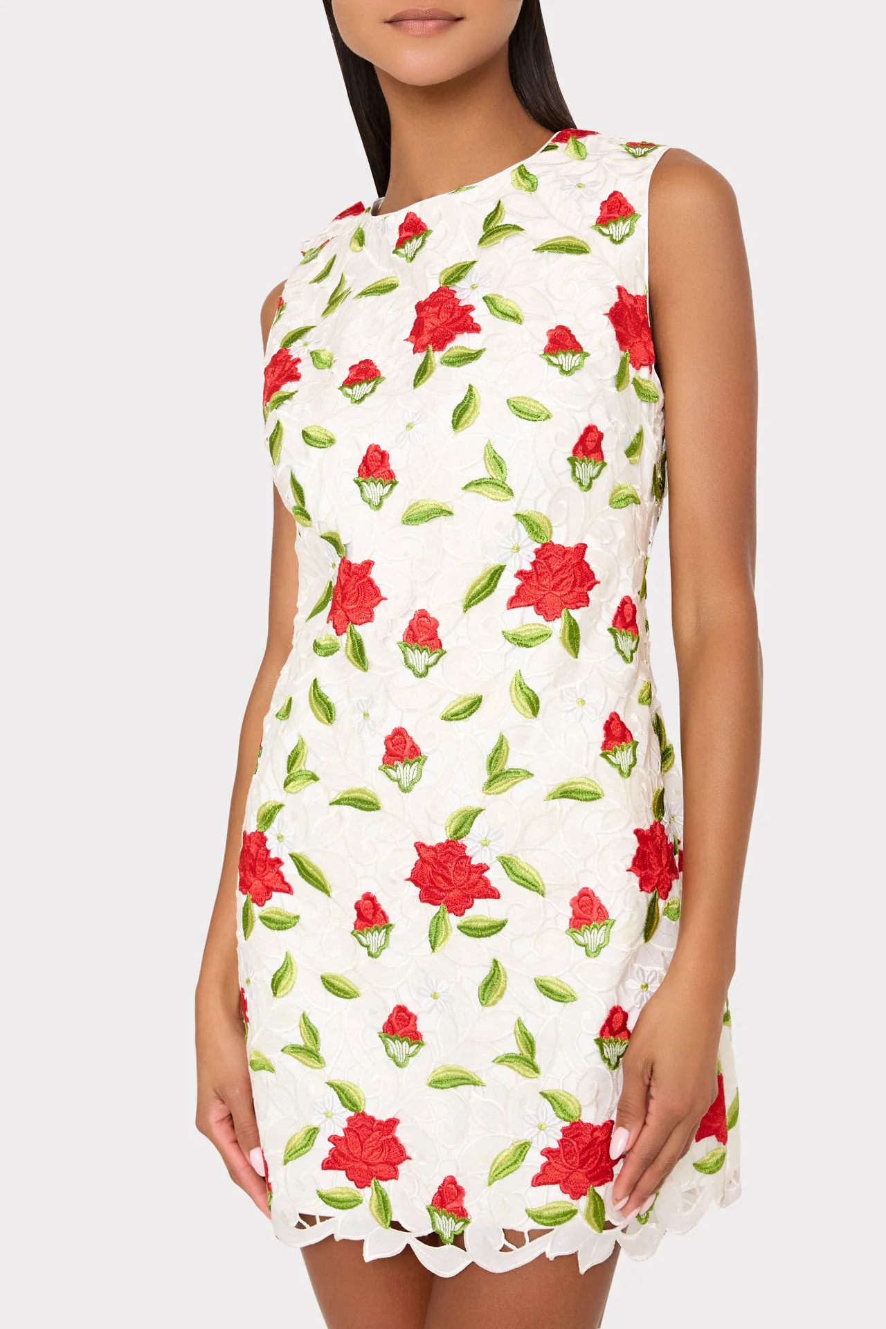 Ivette Rose Embroidered Mini Dress sold by Milly product image thumbnail 3