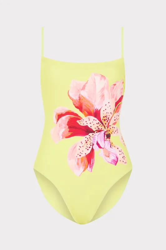 Songe D'Iris Strapless One Piece sold by Milly