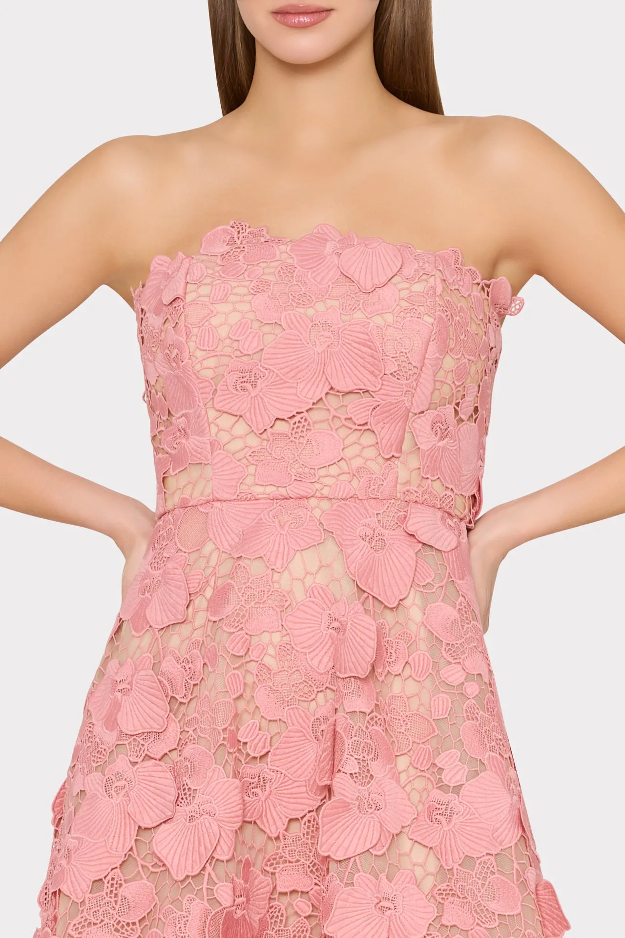 Petunia Lace Gown sold by Milly product image thumbnail 4