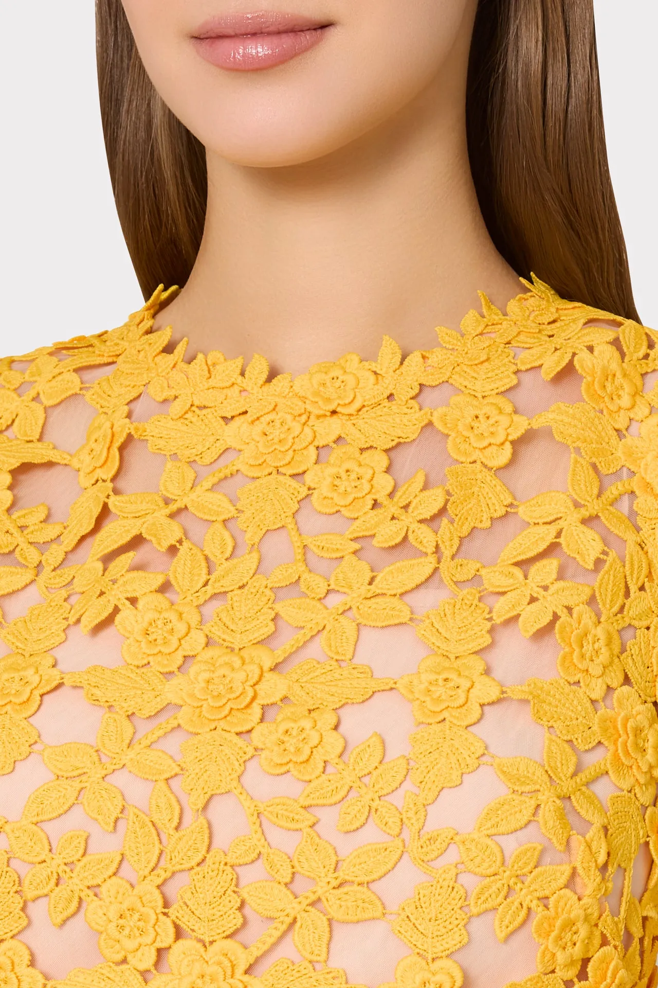 Ivette Lace Mini Dress sold by Milly product image thumbnail 3