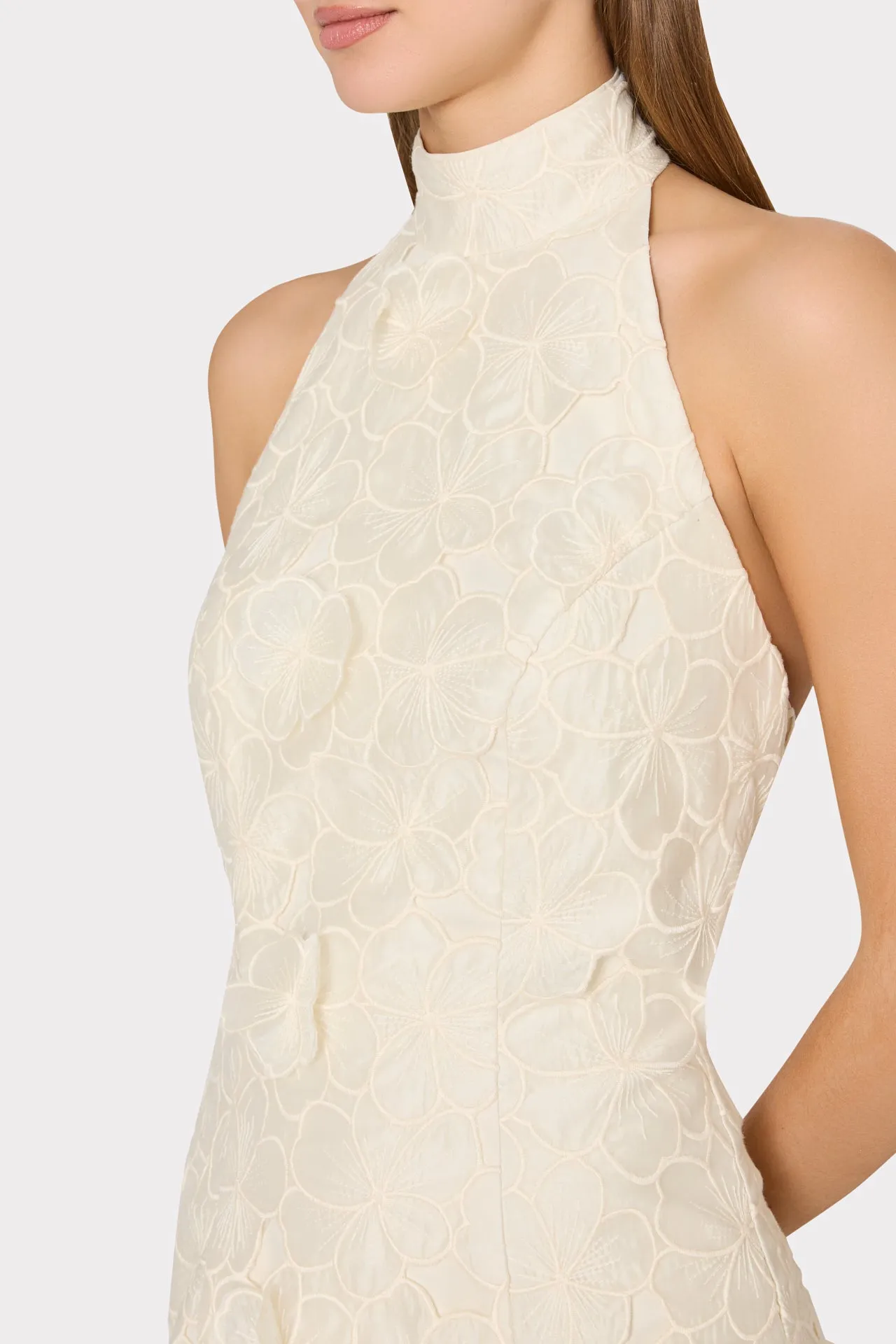 Josefina Embroidered Maxi Dress sold by Milly product image thumbnail 3