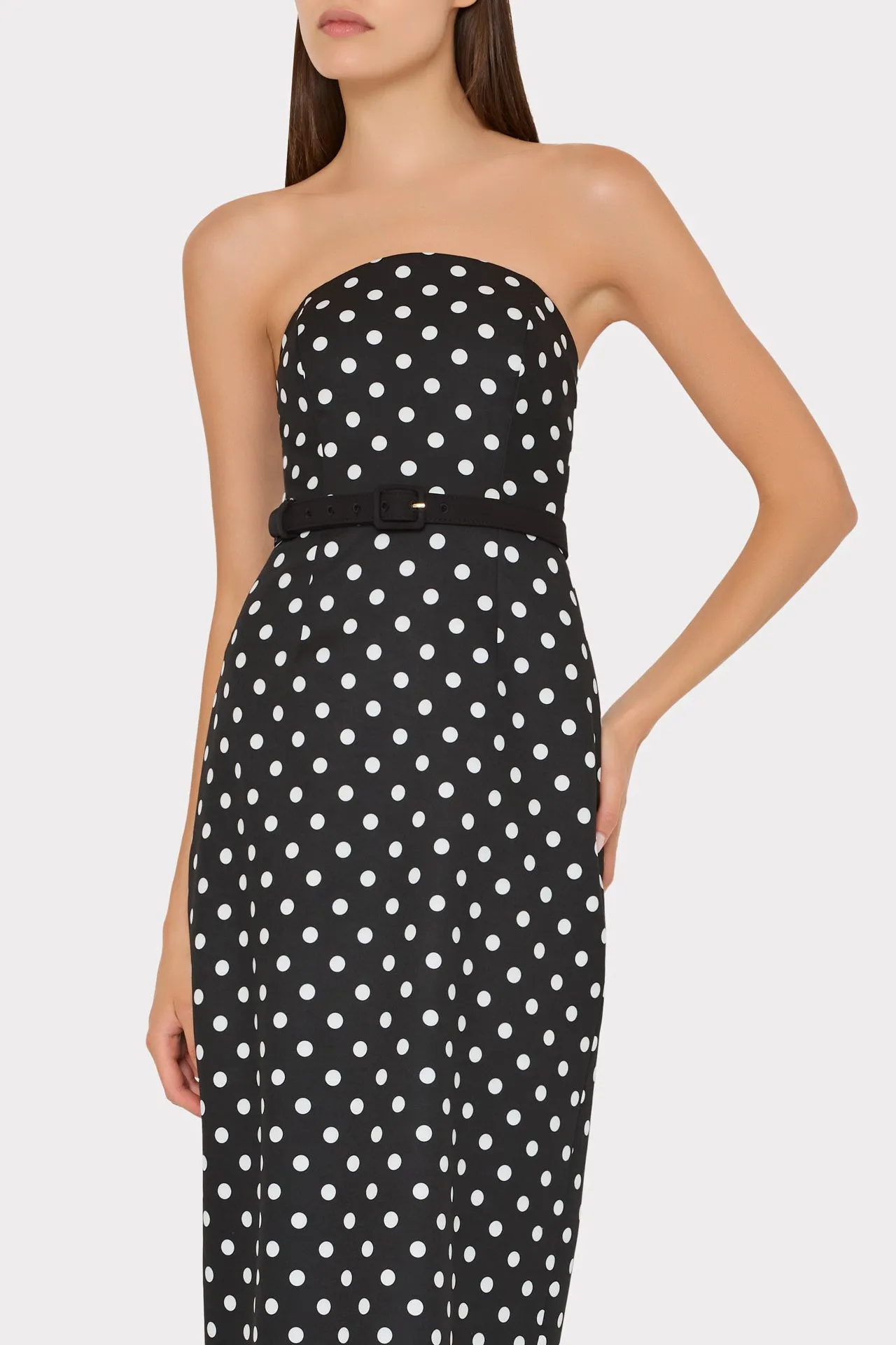 Kait Polka Dot Dress sold by Milly product image thumbnail 3