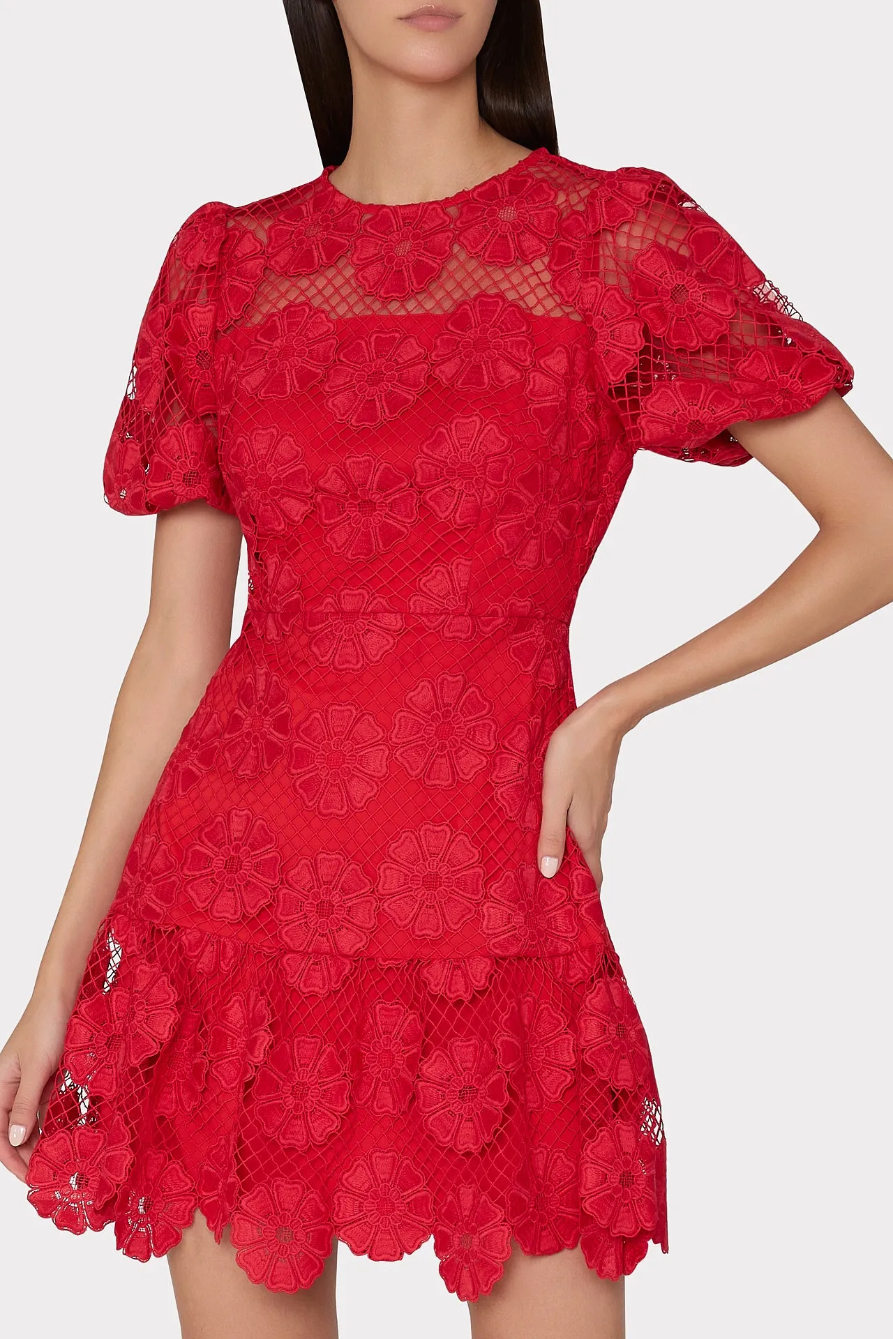 Yasmin Daisy Lace Dress sold by Milly product image thumbnail 3