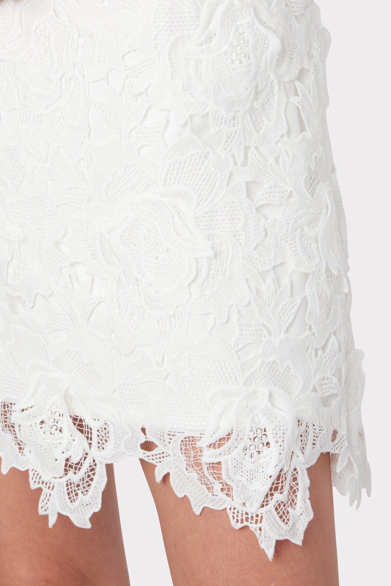 Atalie 3D Floral Lace Dress sold by Milly product image thumbnail 3