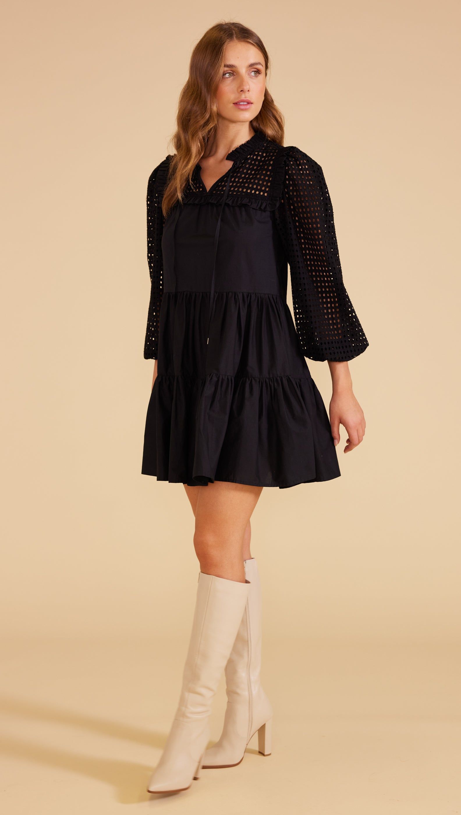 Lucia Broderie Mini Dress sold by MINKPINK product image thumbnail 3