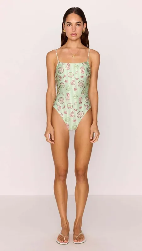Green Stripe Printed Low-Back One Piece Swimsuit sold by MINKPINK